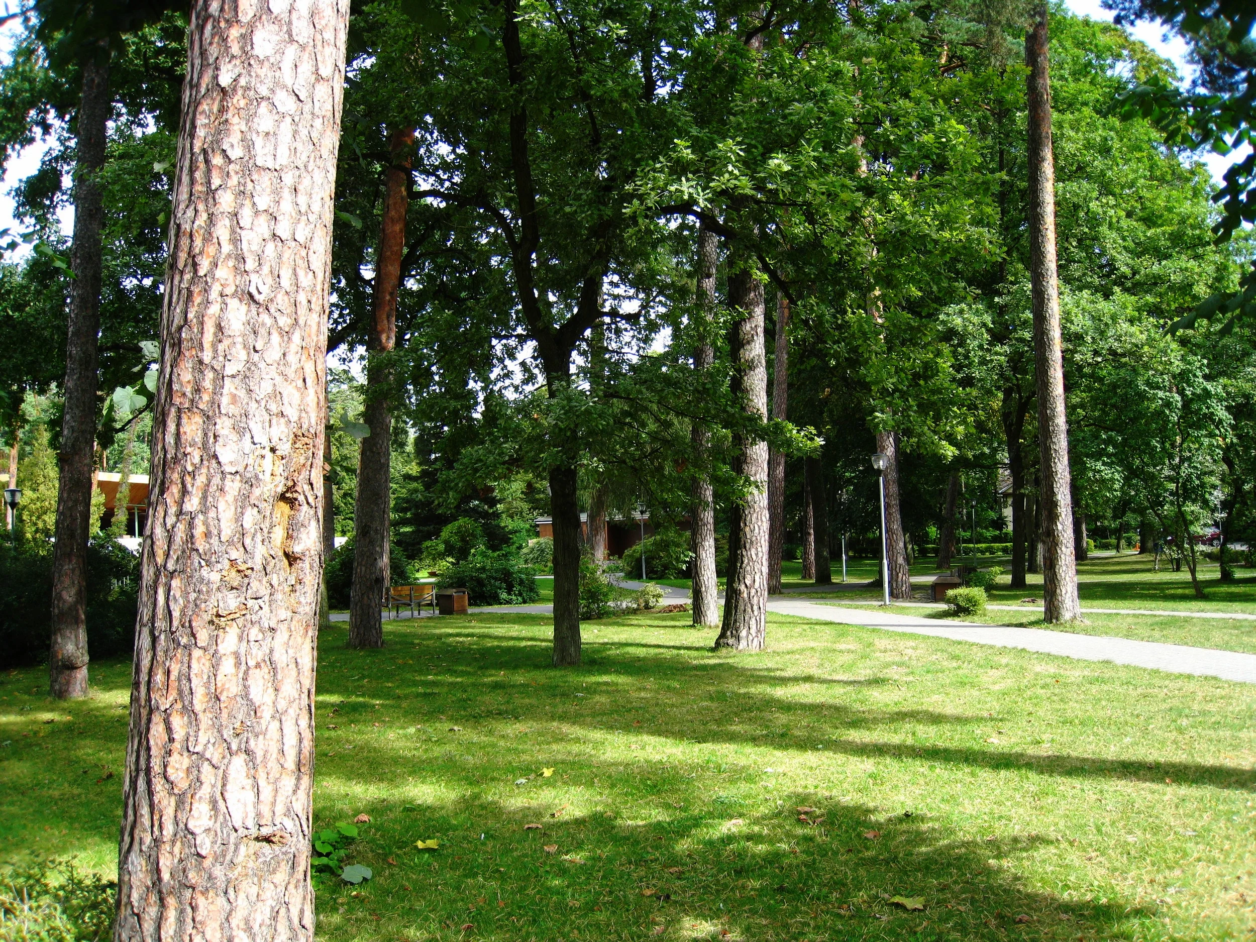  Majori--Jurmala--Village park 