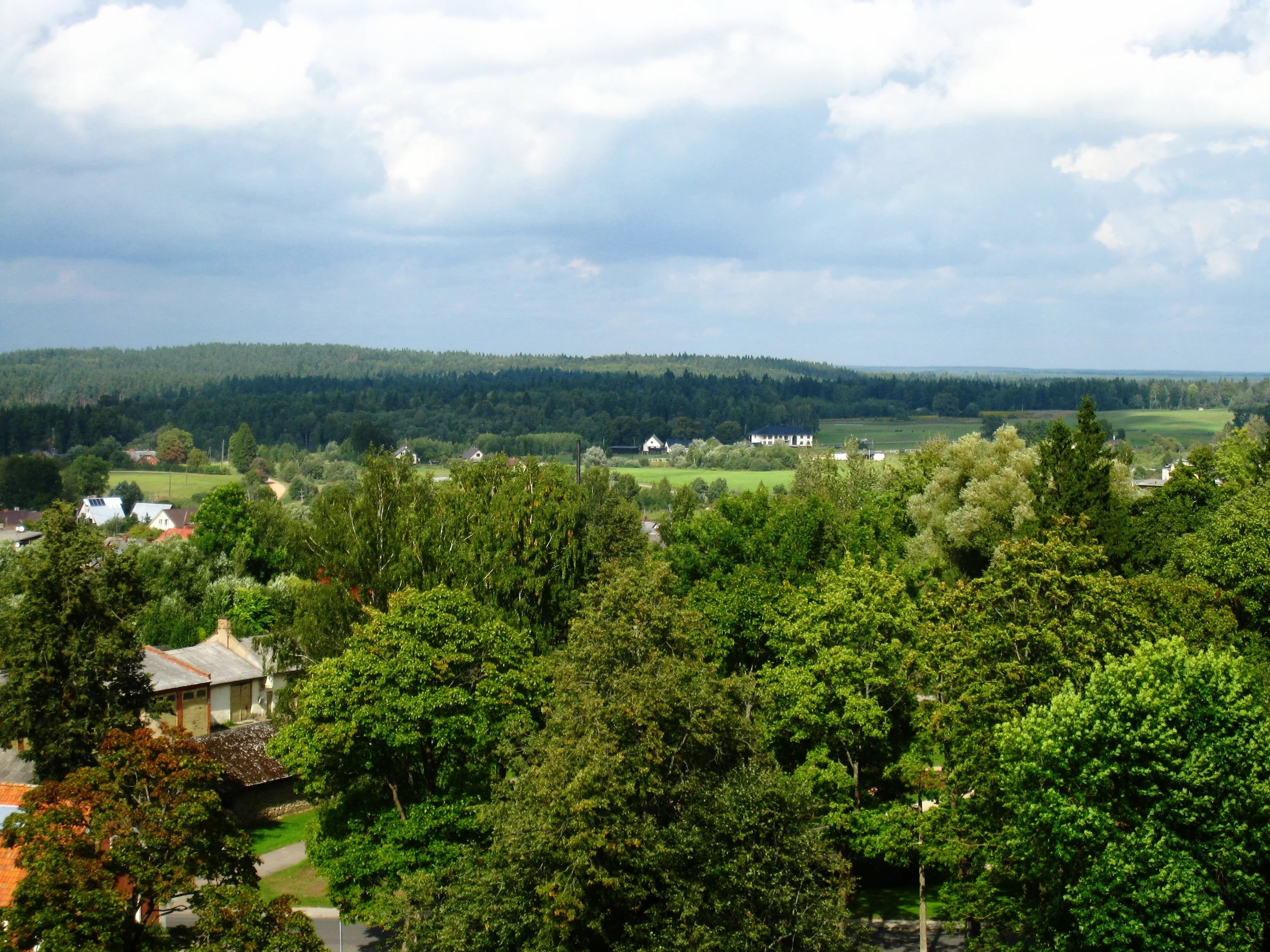  Cesis--View from the Manor House tower--To Gaujas National Park 