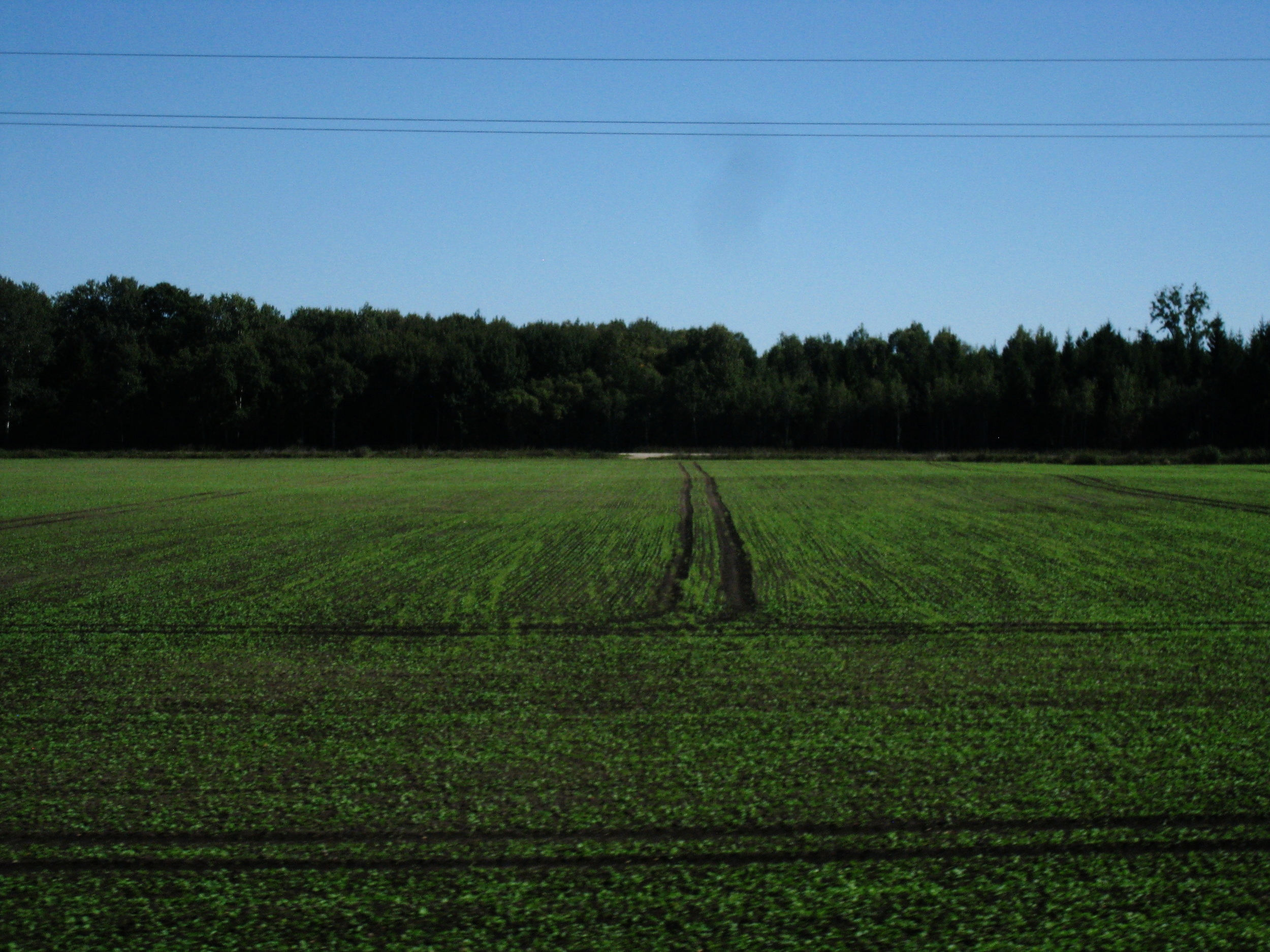  Lithuania--Countryside 