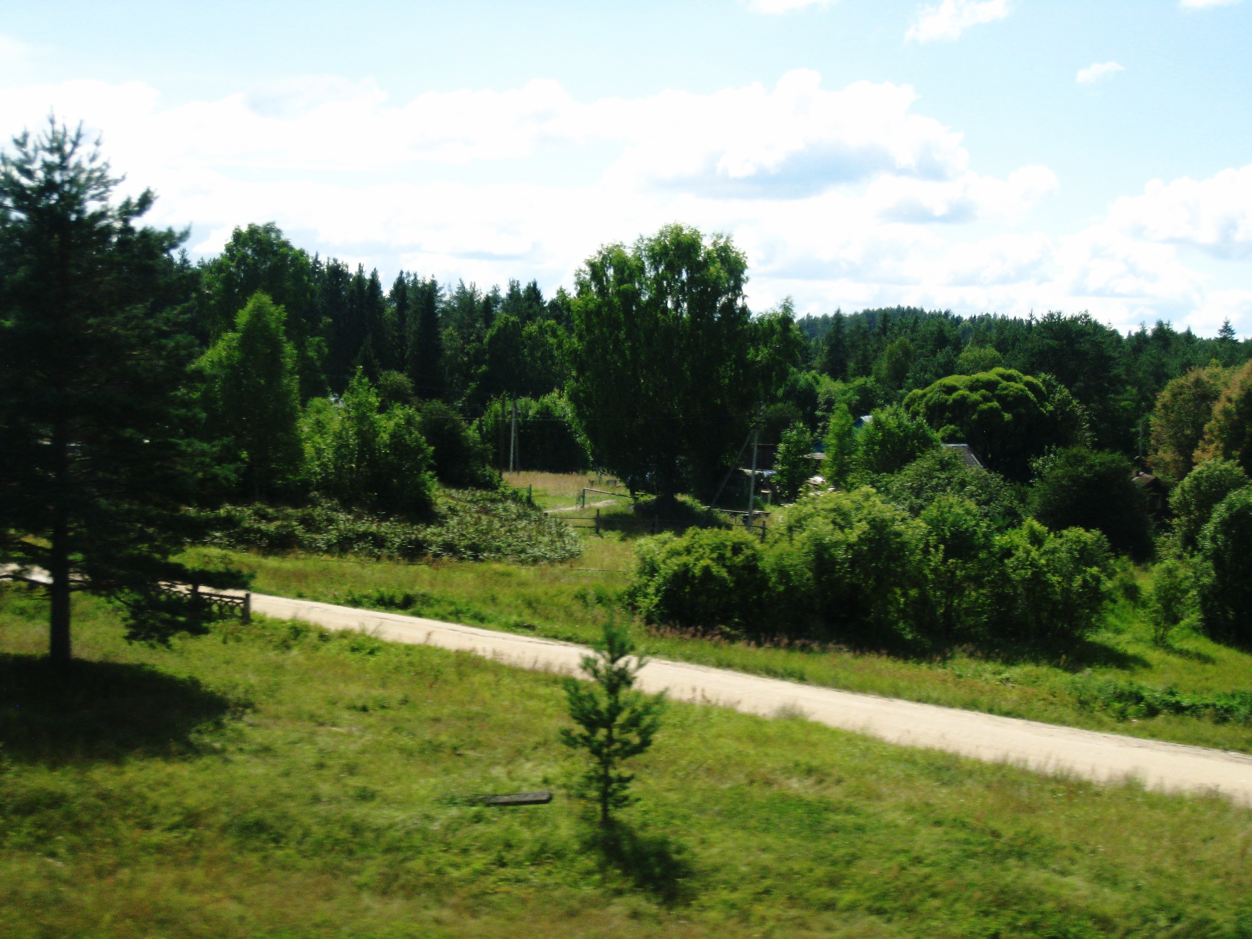  Russia--View from the train between St. Petersburg and Moscow--Countryside 