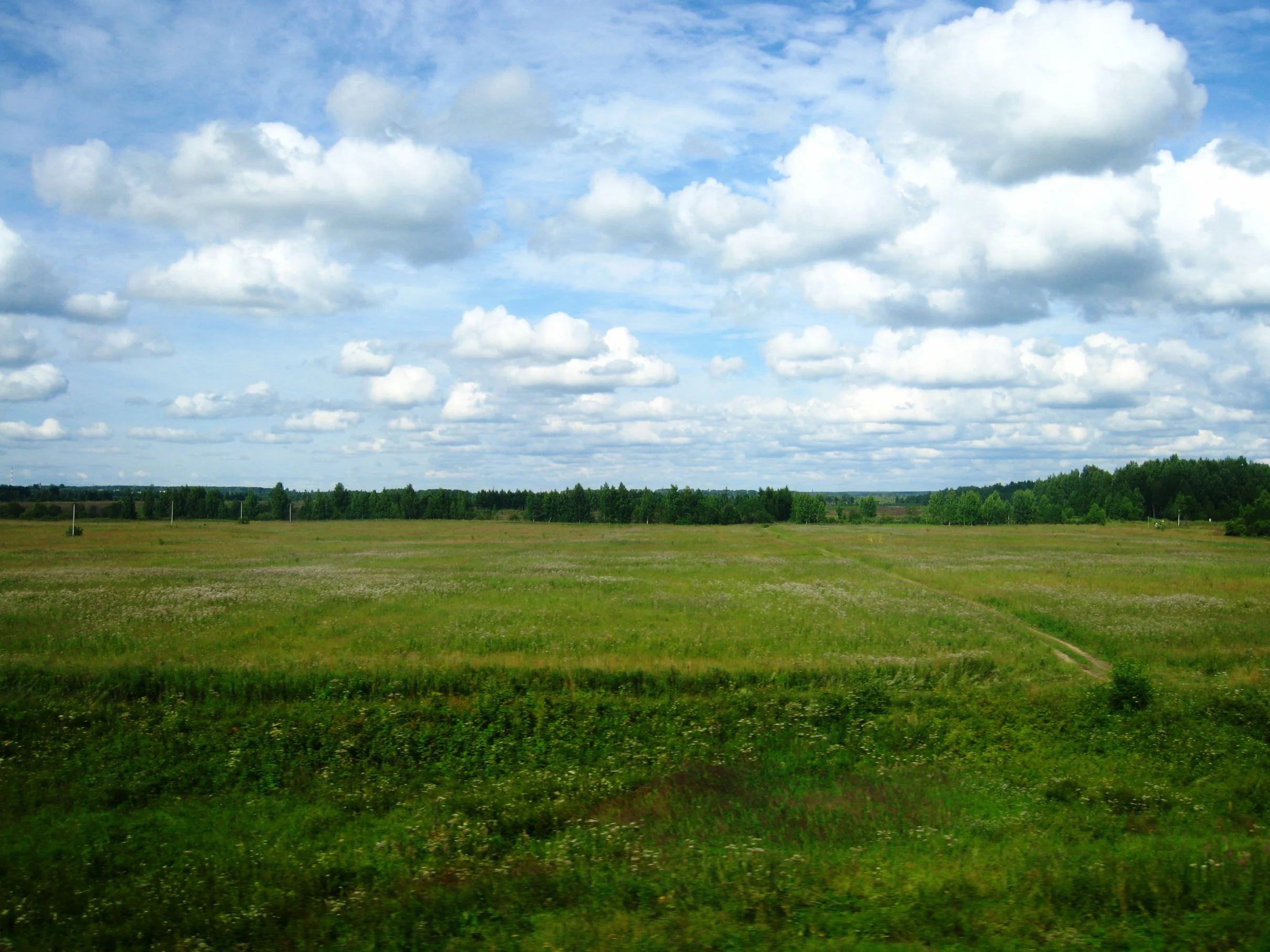  Russia--View from the train between St. Petersburg and Moscow--Countryside 
