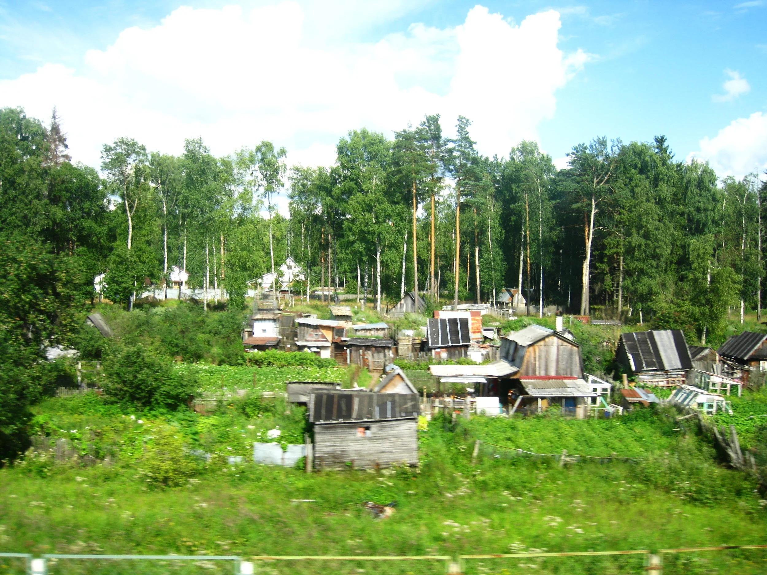  Russia--View from the train between St. Petersburg and Moscow--Countryside gardens 
