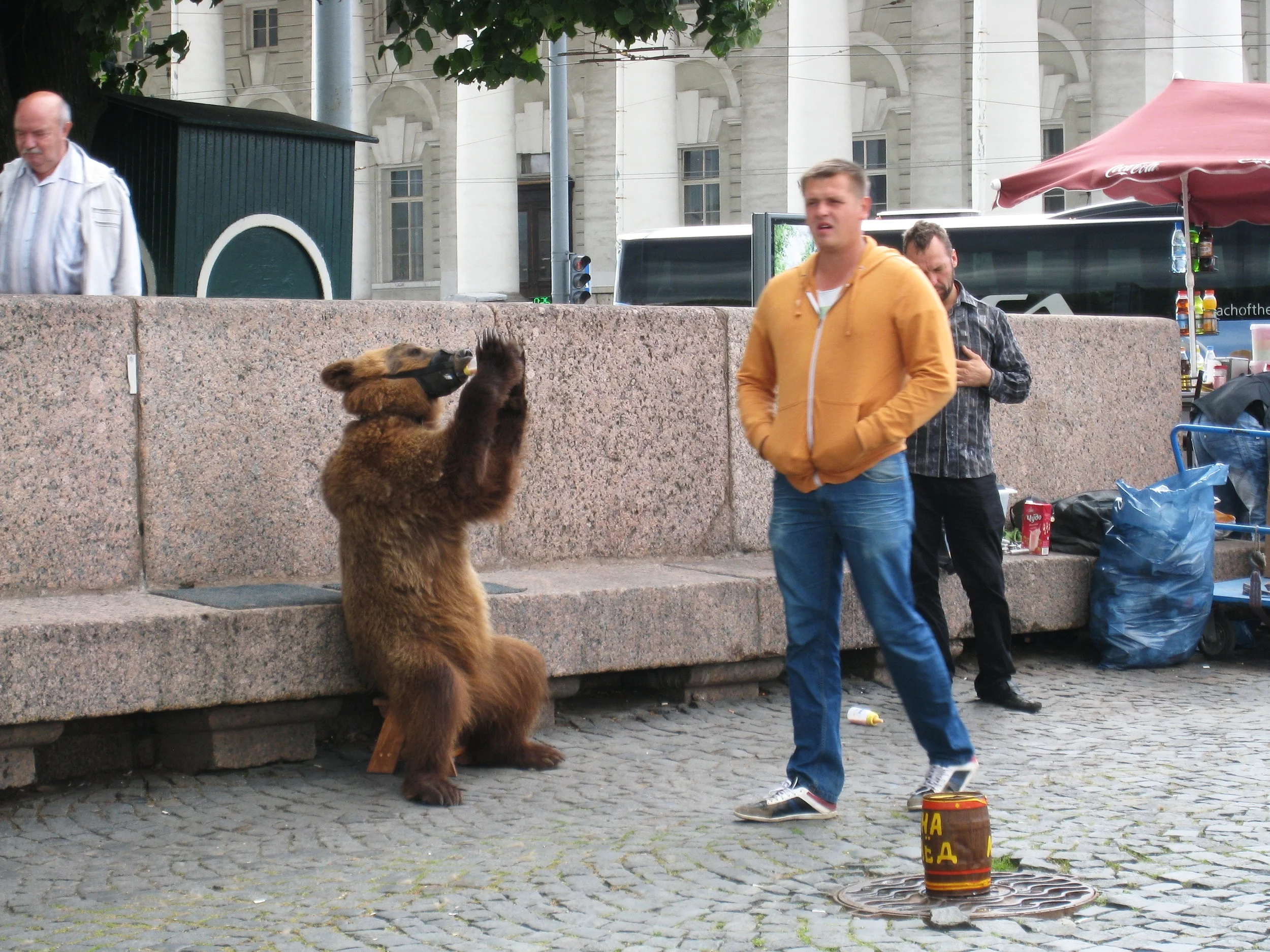  St. Petersburg--Vassilyev Island--Trained bear 