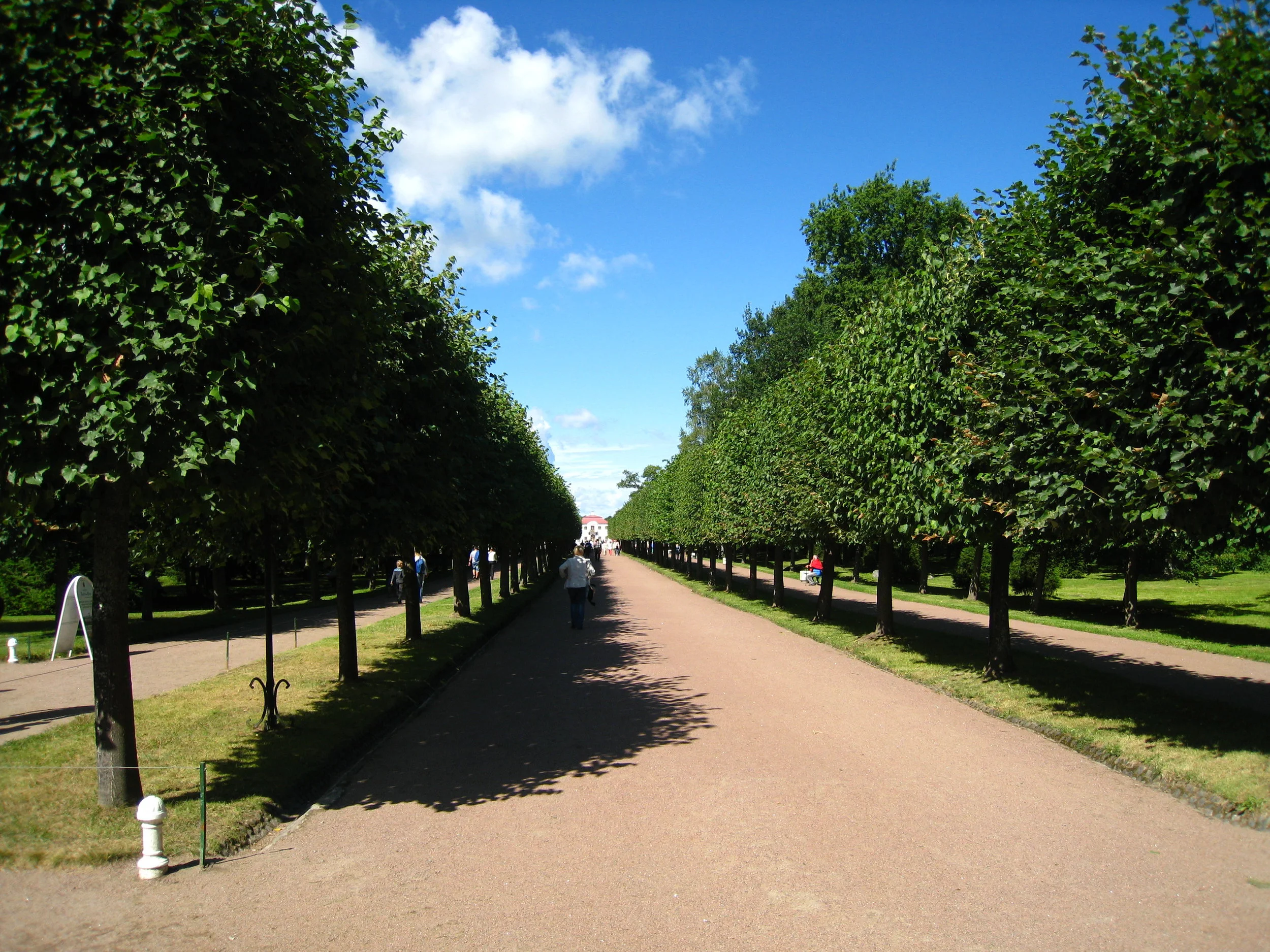  St. Petersburg--Peterhof--The Palace Gardens 