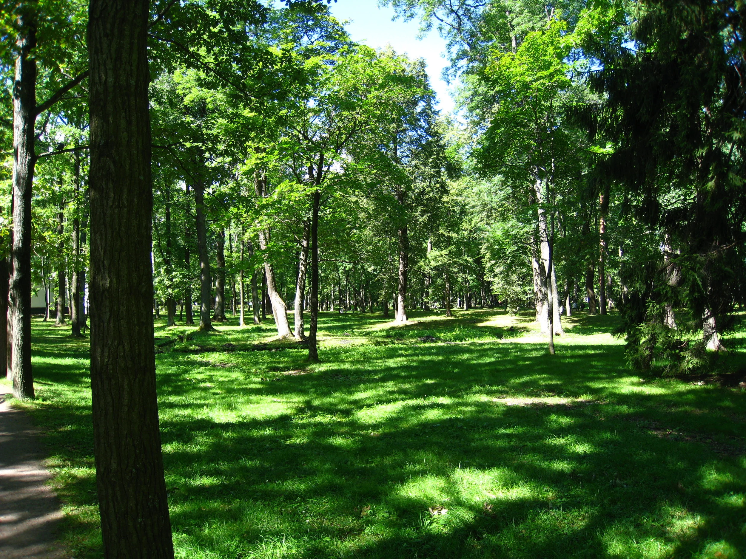  St. Petersburg--Peterhof--The Palace Gardens 