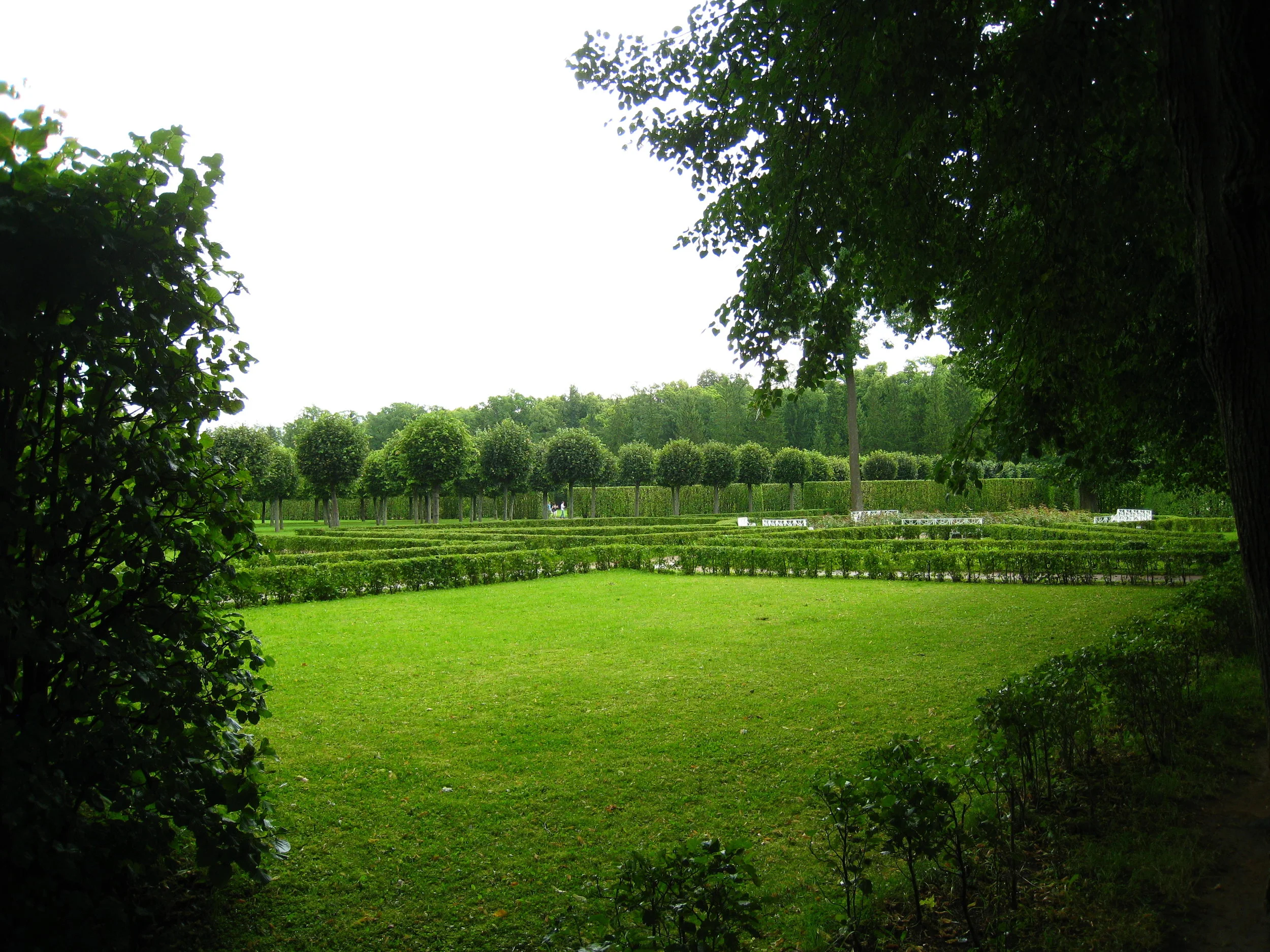  Pushkin (Catherine Palace)--Garden 