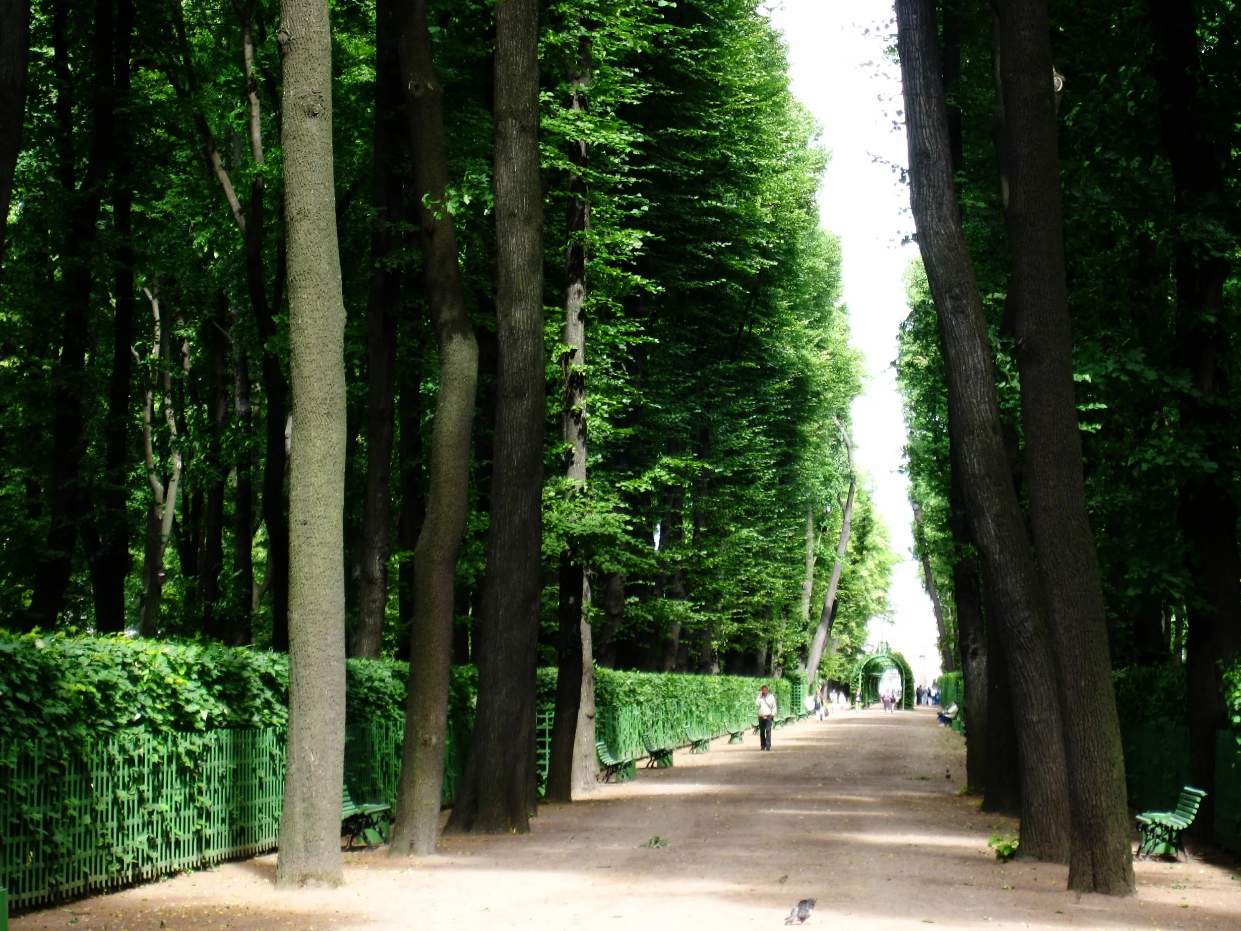  St. Petersburg--St. Michael's Castle Gardens (Summer Garden) 