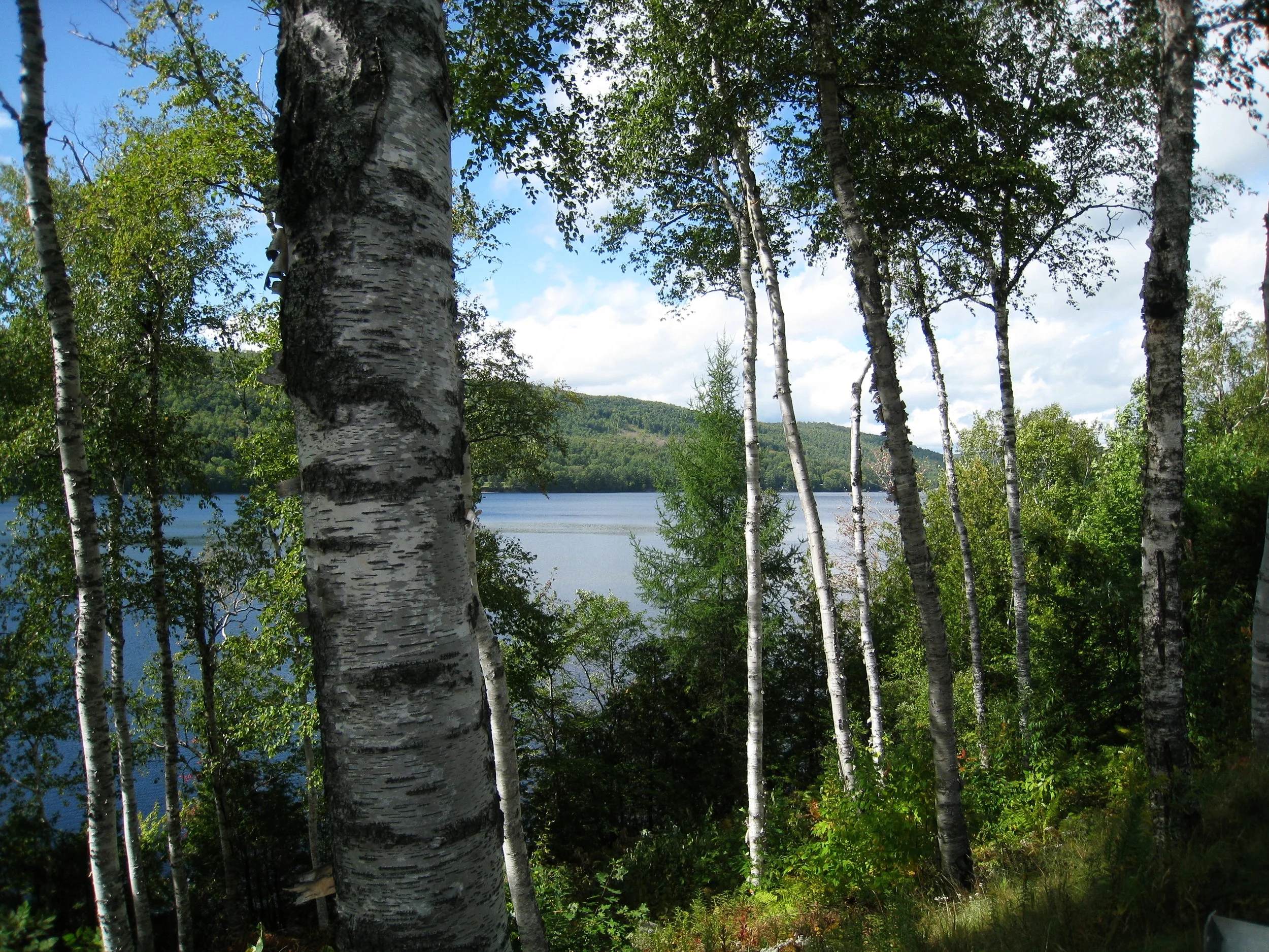  Kennebec River near Canada 