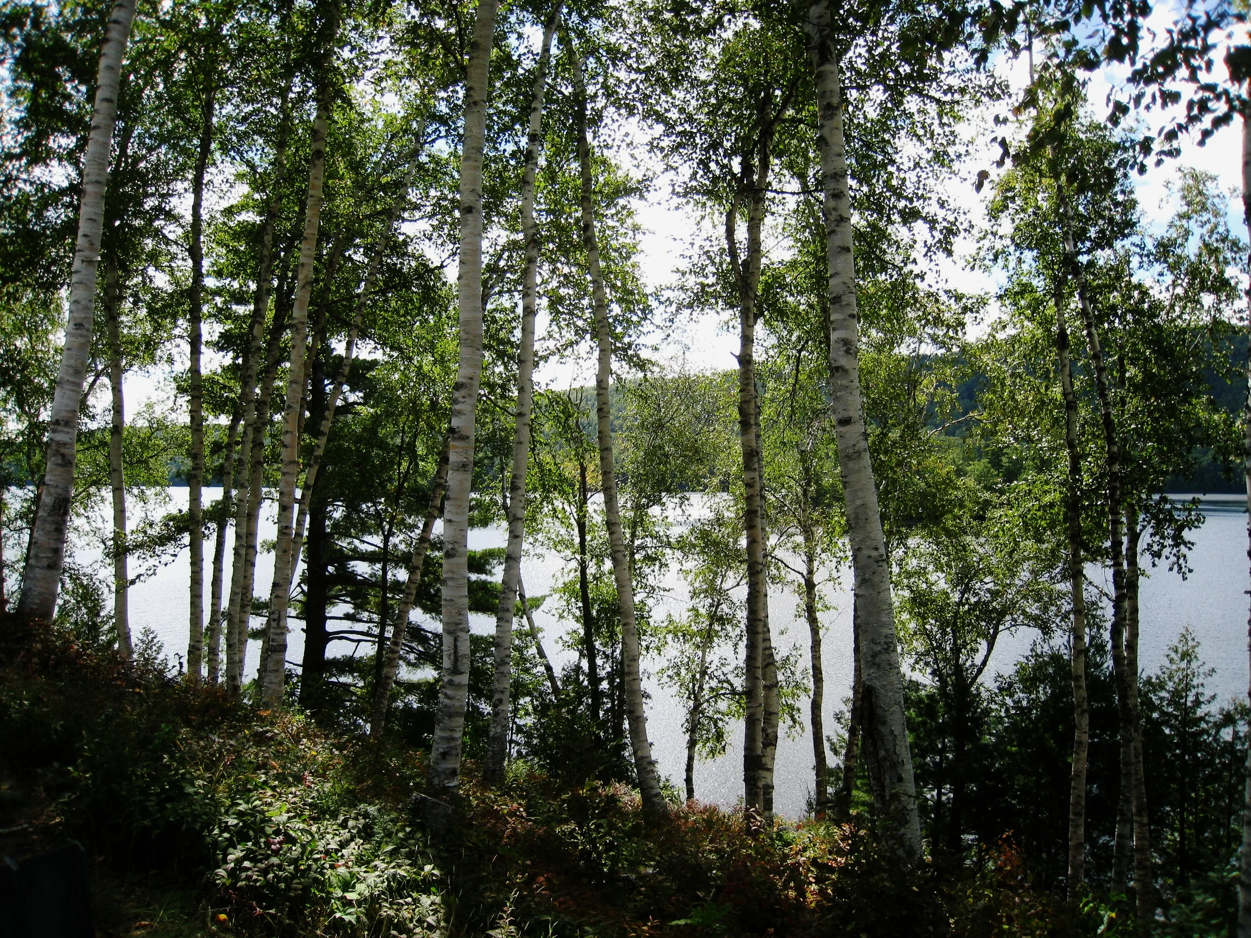  Kennebec River near Canada 