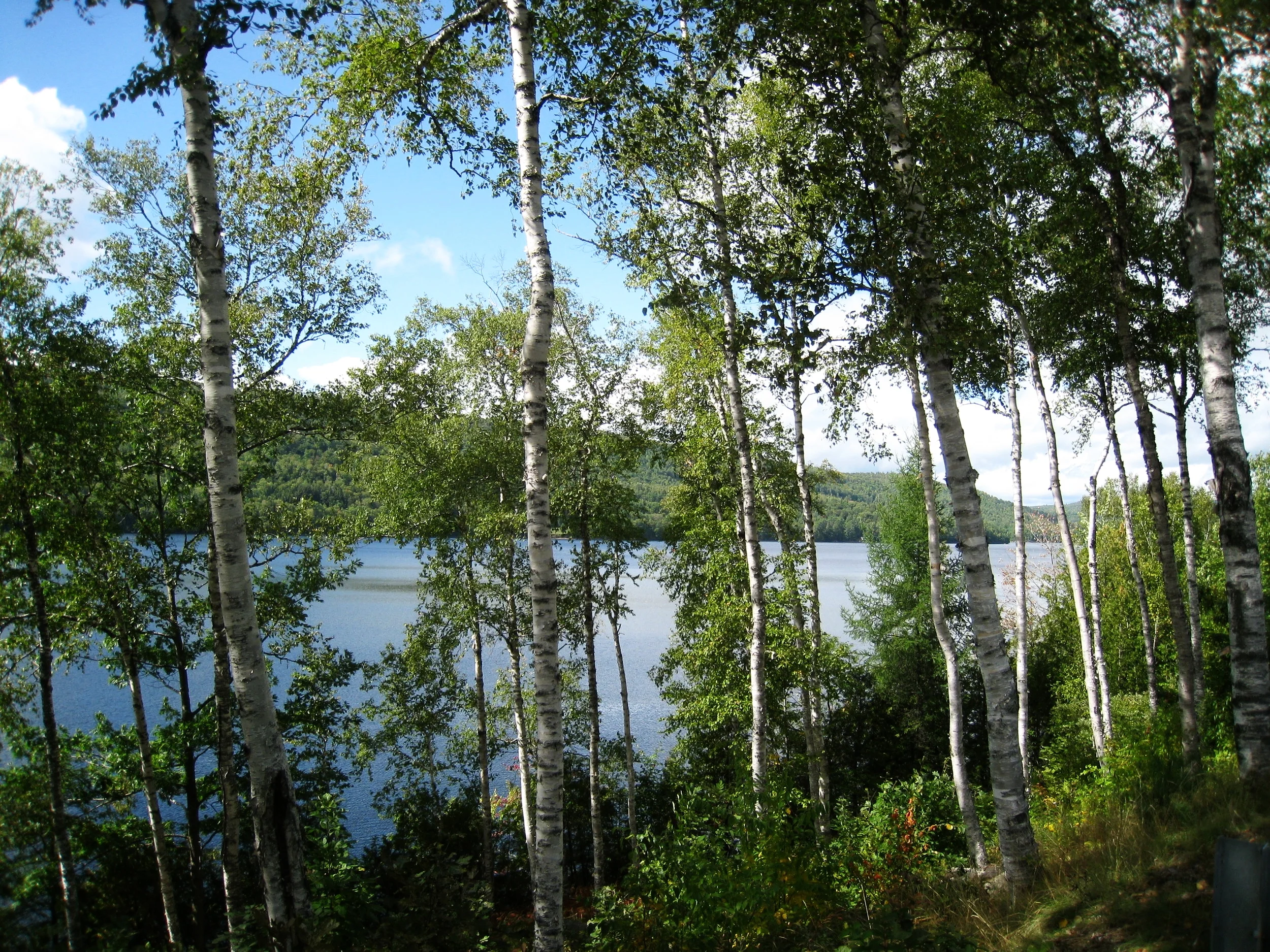  Kennebec River near Canada 