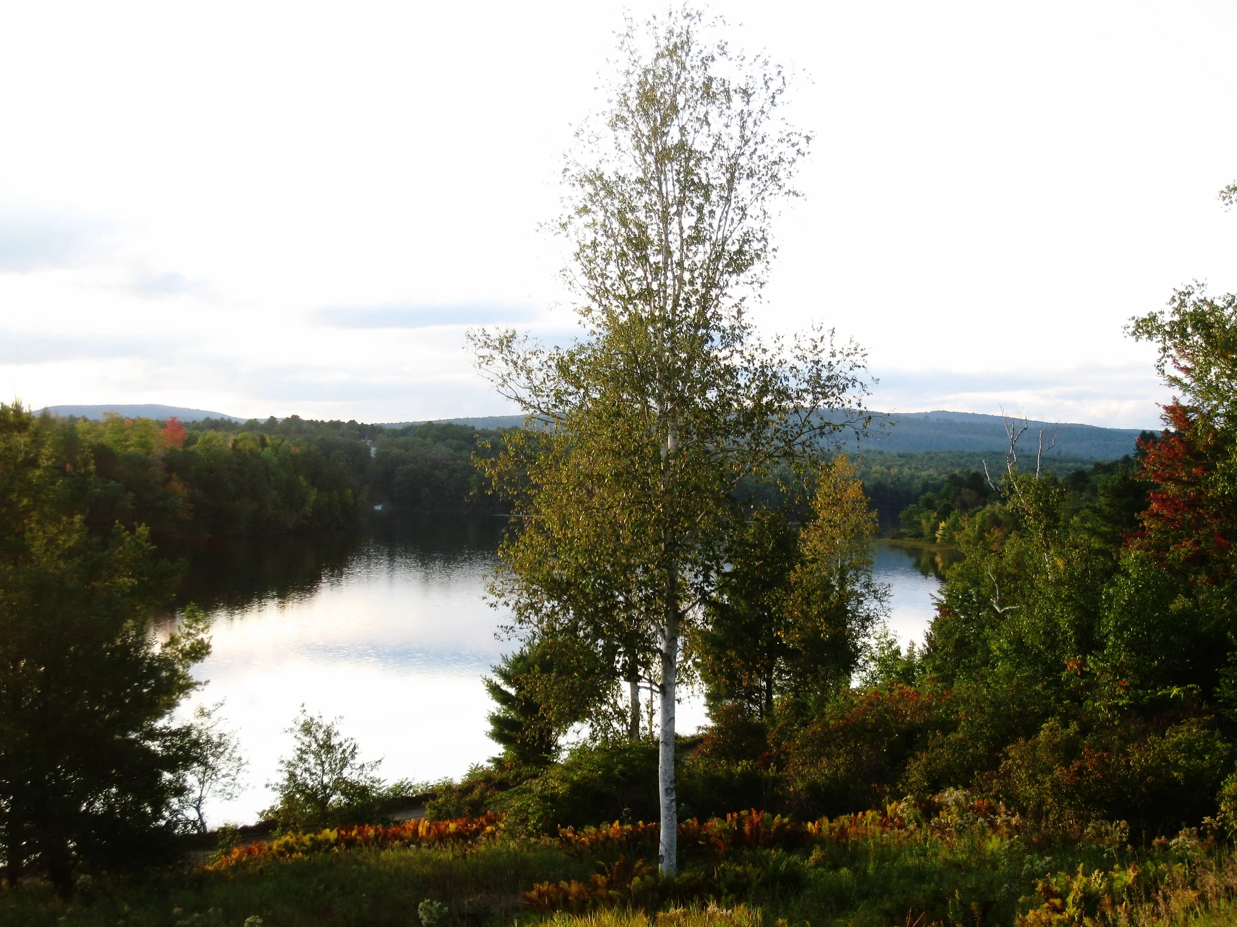  Kennebec River near Canada with the mountains 