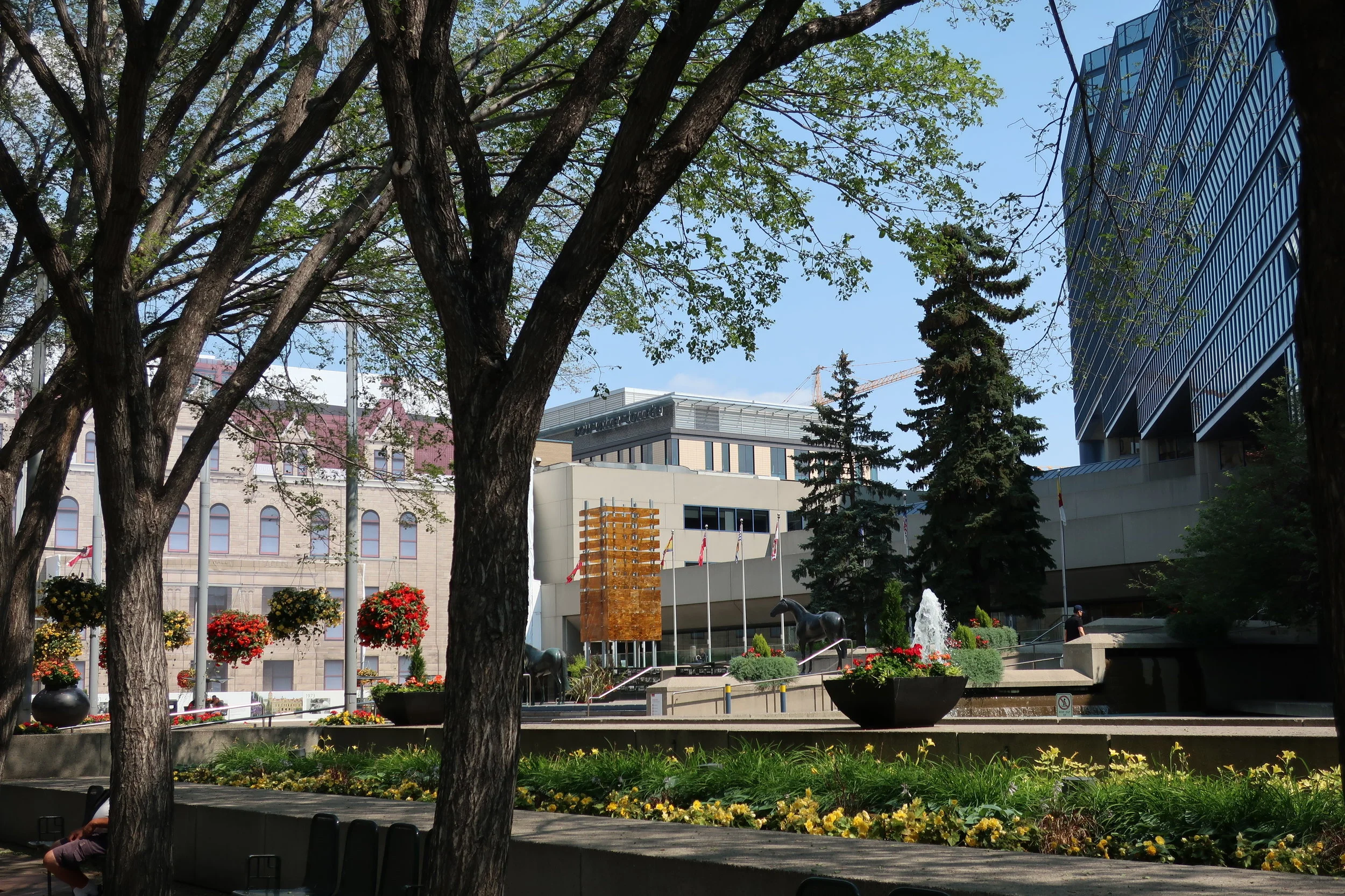  Calgary--Downtown--City Hall 