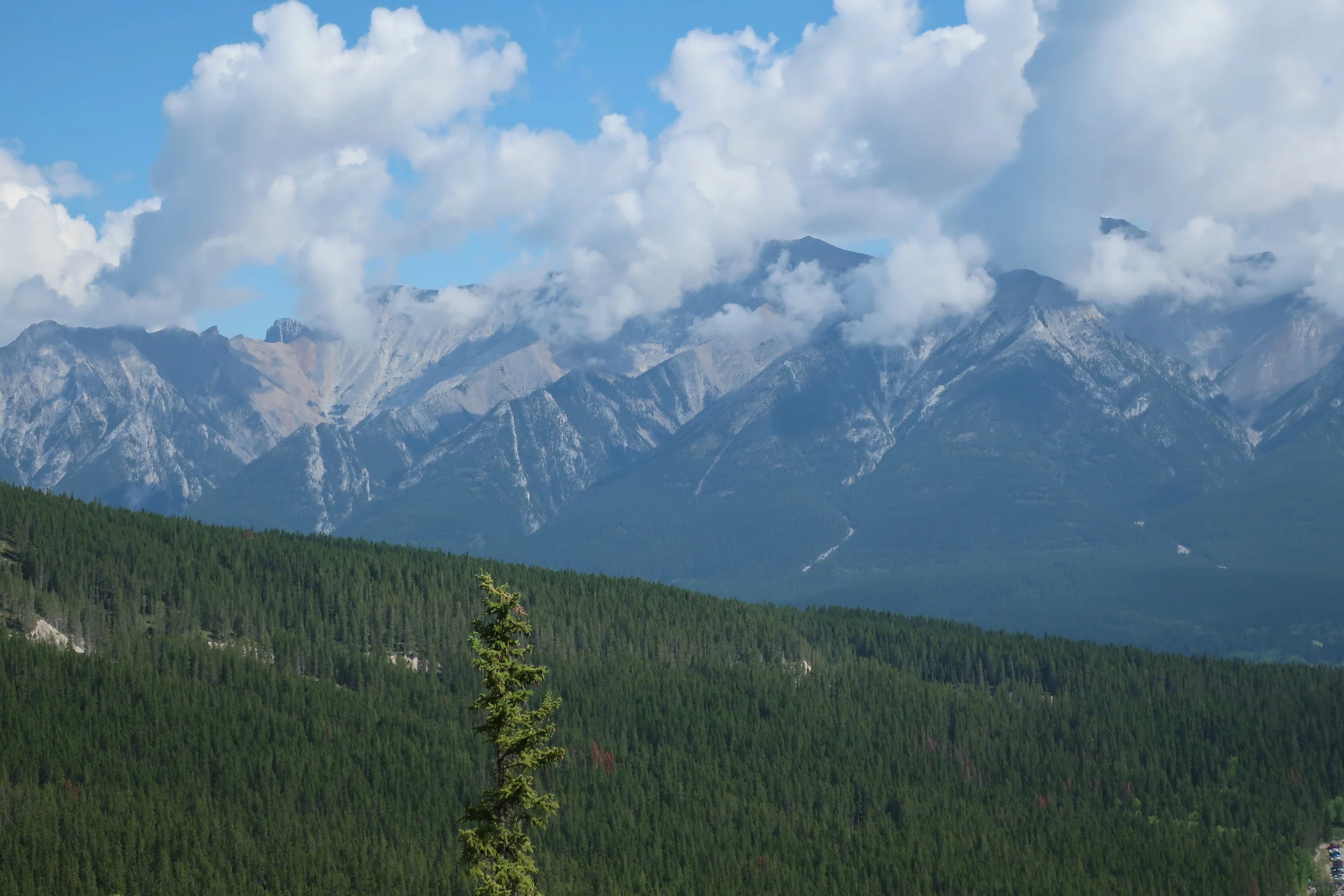  Canmore--Hiking to Grassley Lake 