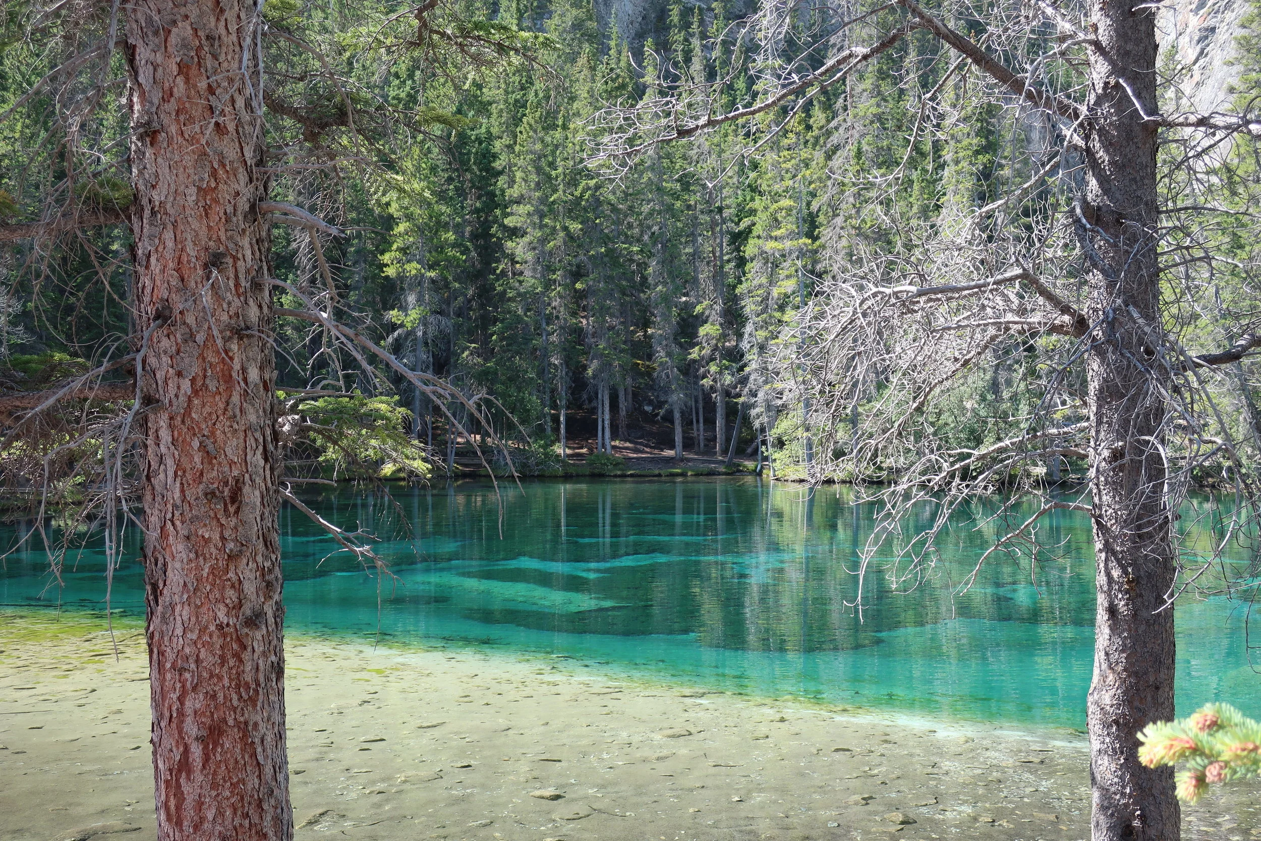  Canmore--Hiking to Grassley Lake--The lake 