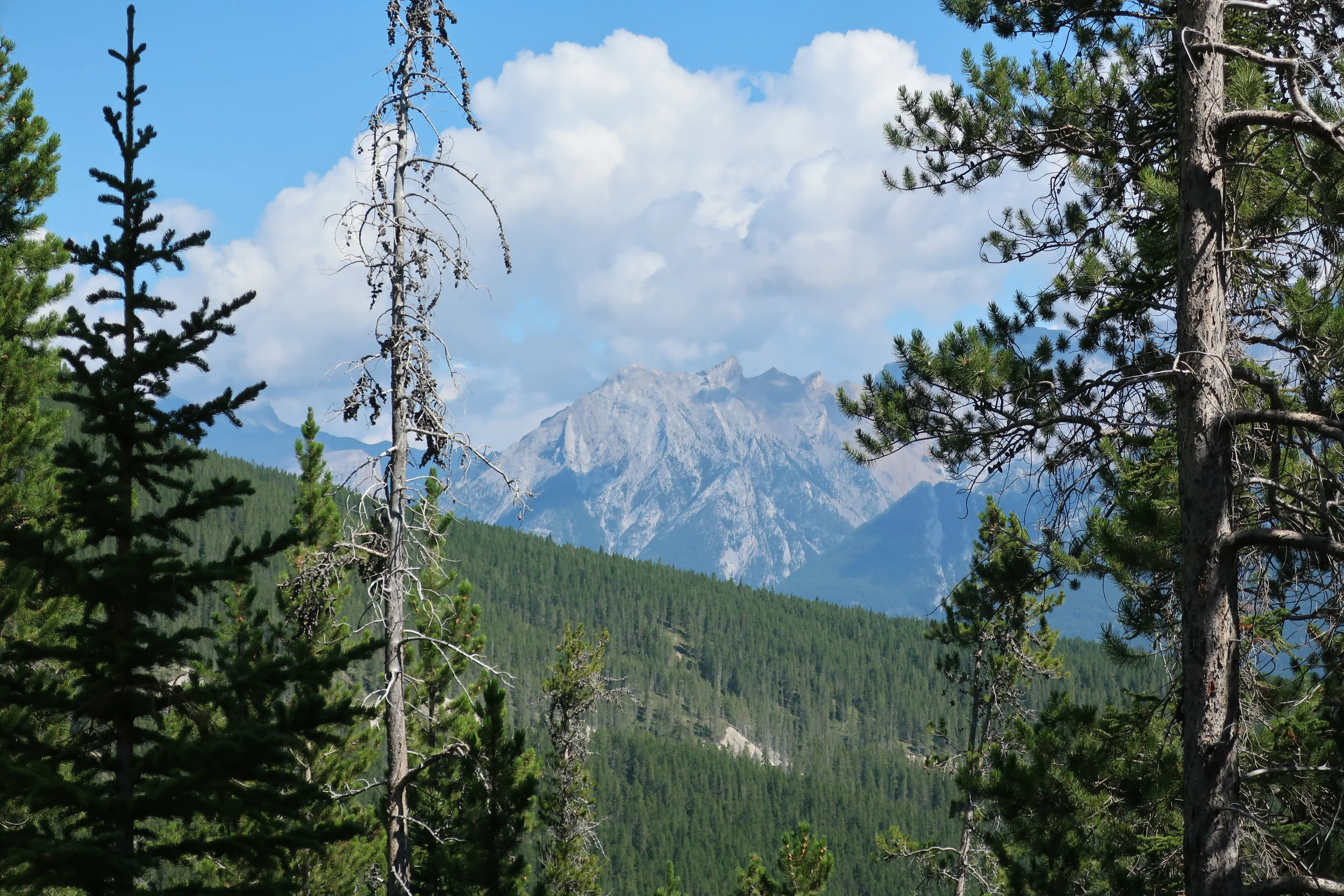  Canmore--Hiking to Grassley Lake 