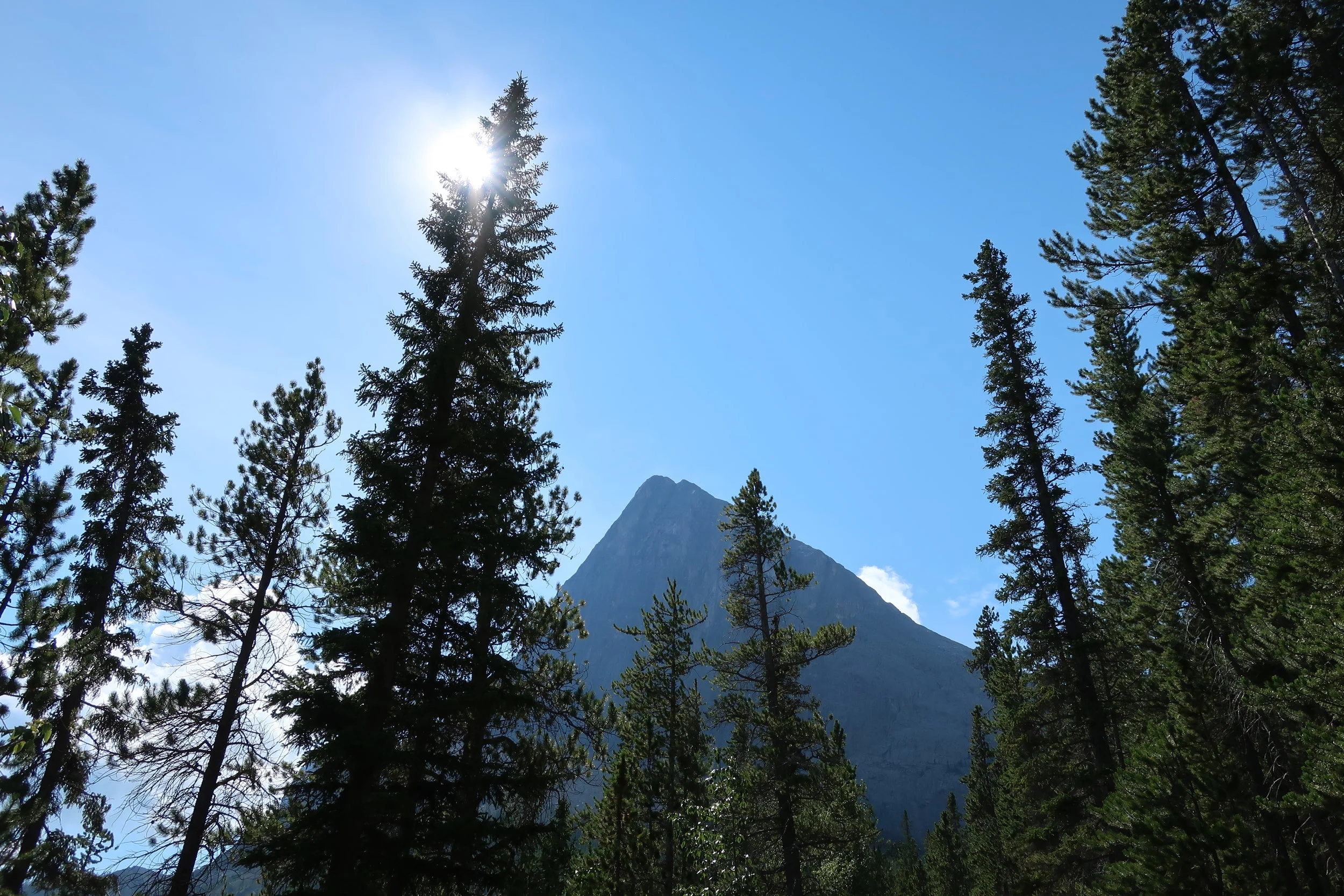  Canmore--Hiking to Grassley Lake 
