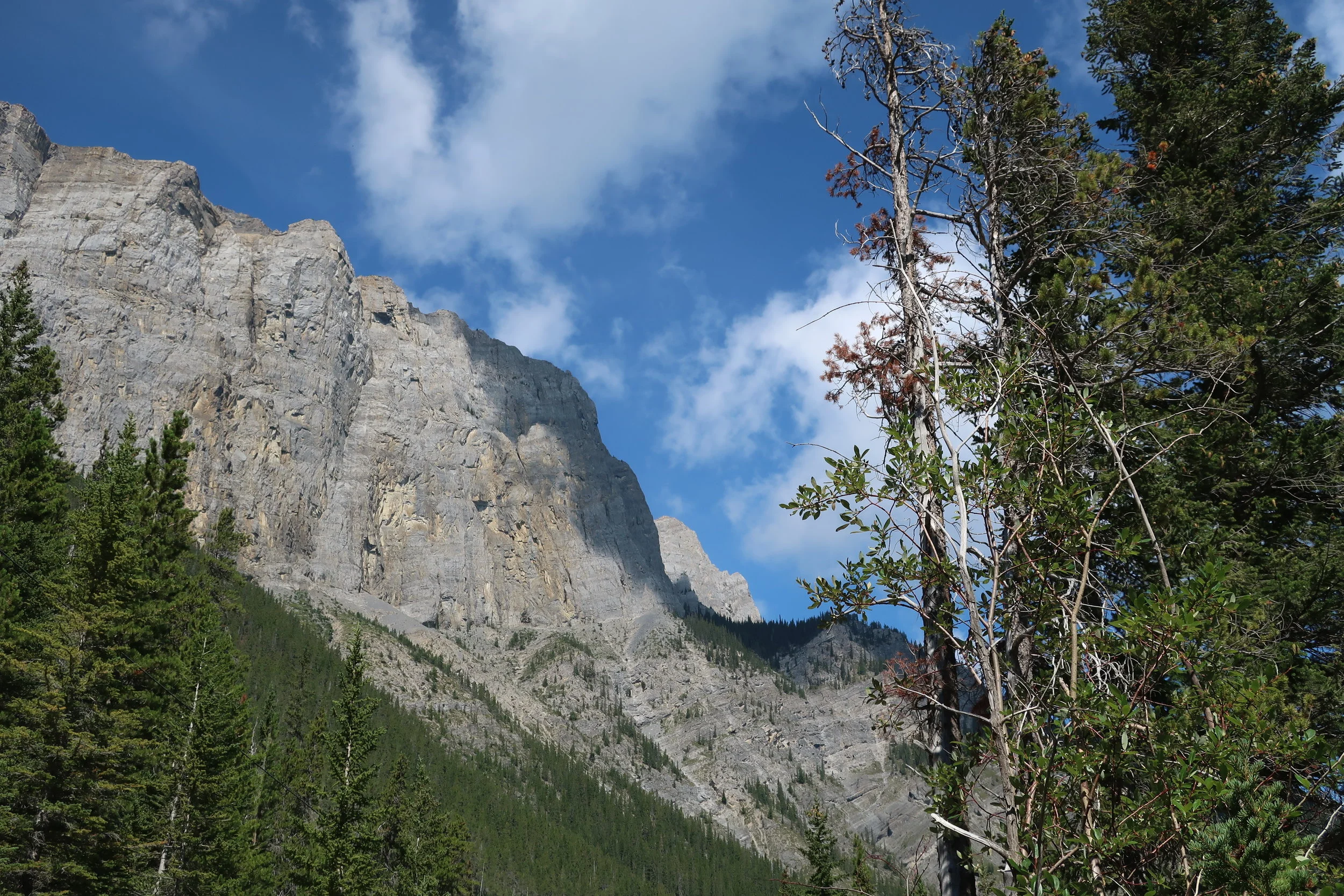  Canmore--Hiking to Grassley Lake 