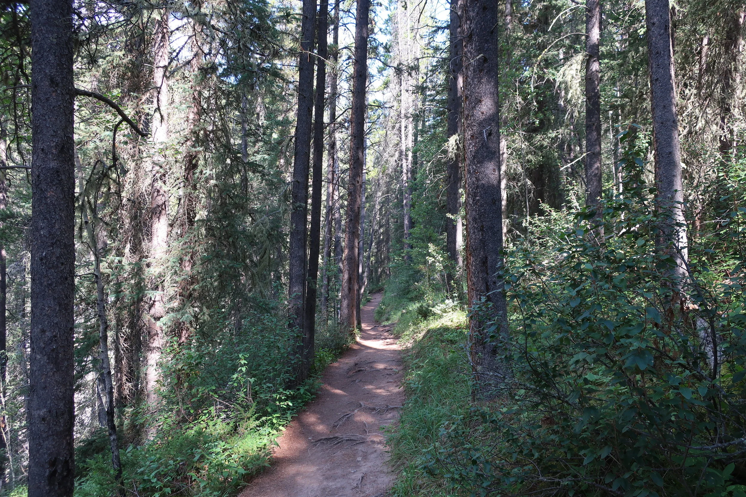  Banff--Lake Minnewanka--River gorge hike 