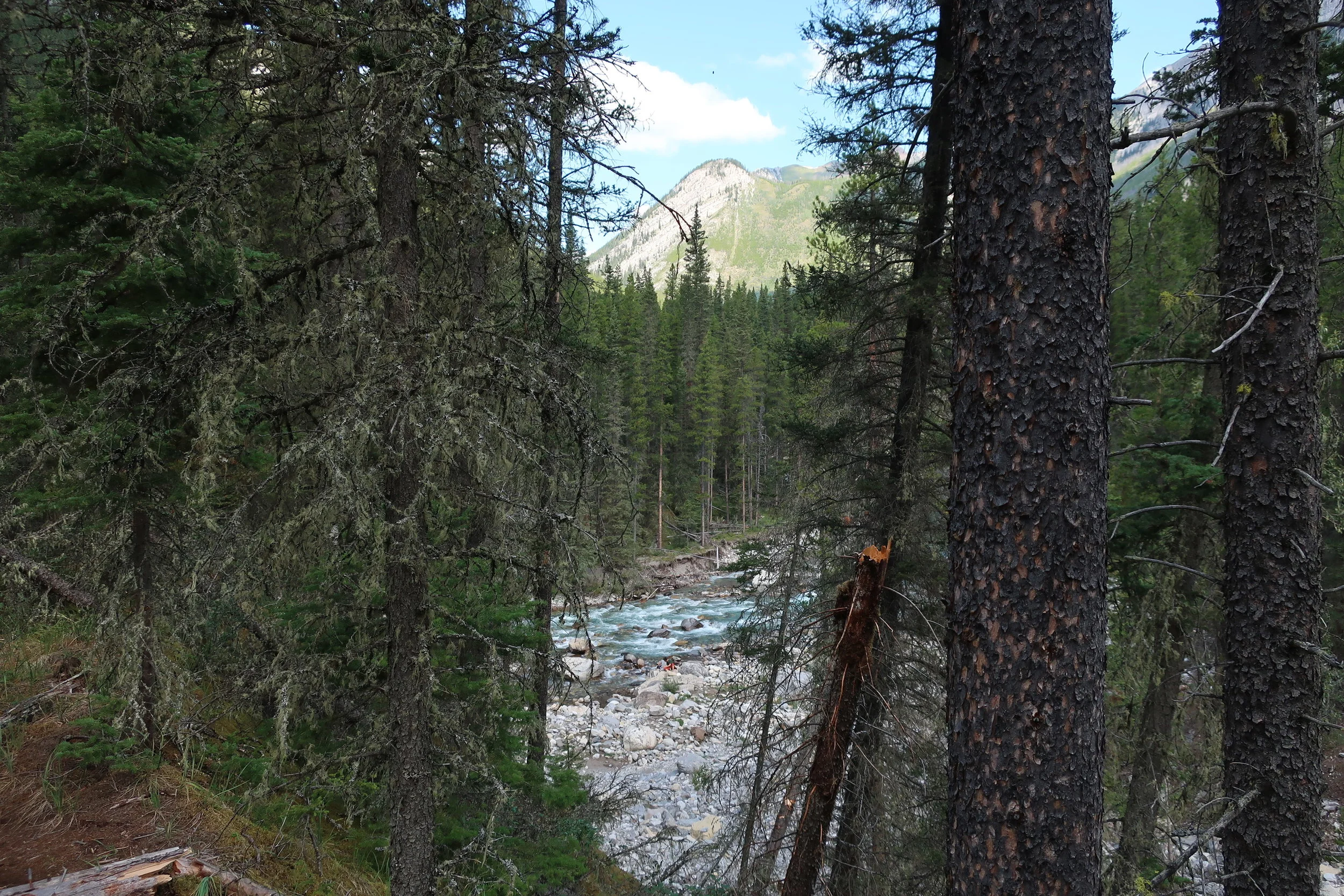  Banff--Lake Minnewanka--River gorge hike 