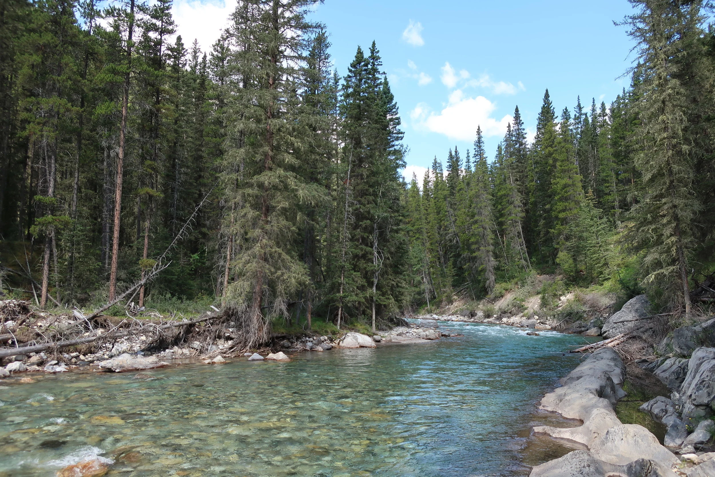  Banff--Lake Minnewanka--River gorge hike 