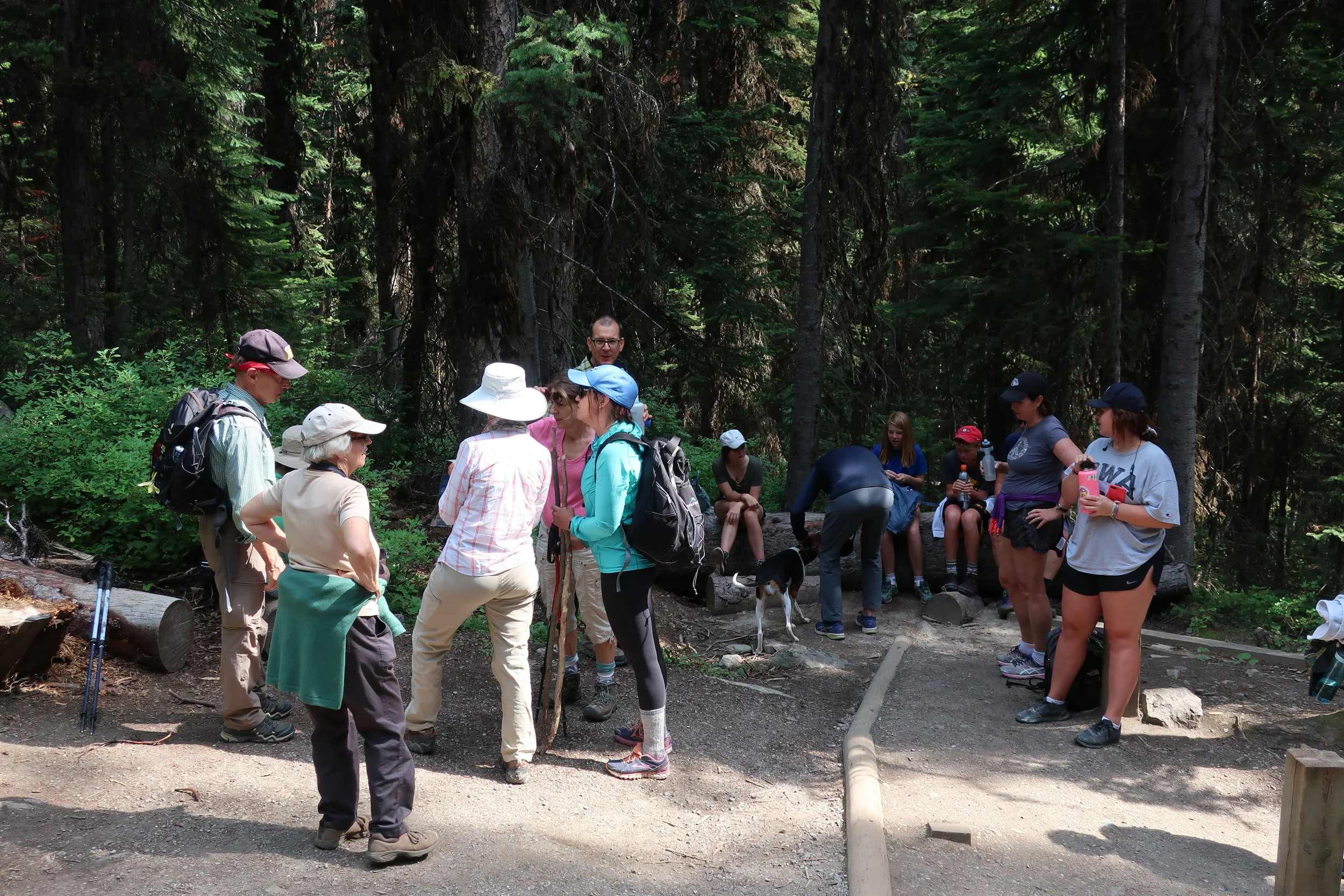  Lake Louise--Trail to Agnes Tea House 
