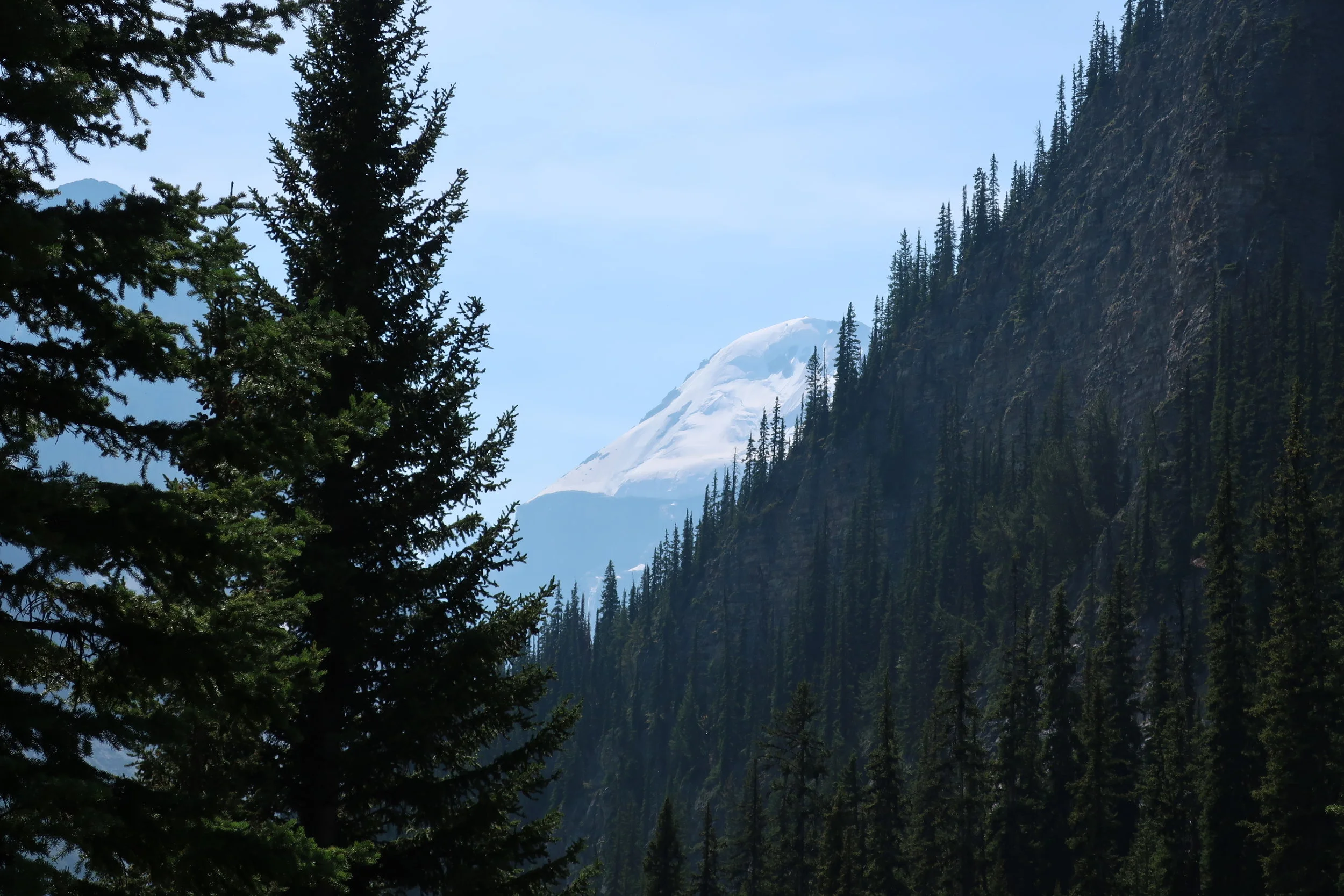  Lake Louise--Trail to Agnes Tea House 
