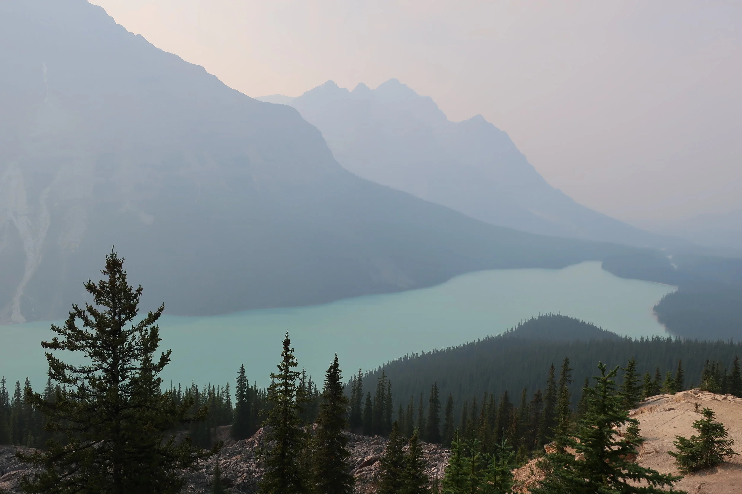  Banff and Jasper National Parks--Icefields Parkway--Peyto Lake (wildfire haze) 