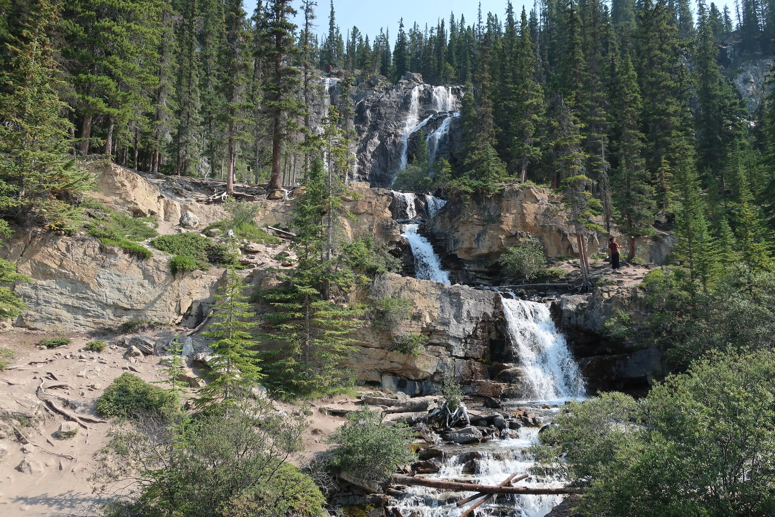  Banff and Jasper National Parks--Icefields Parkway--Tangle Creek Falls 