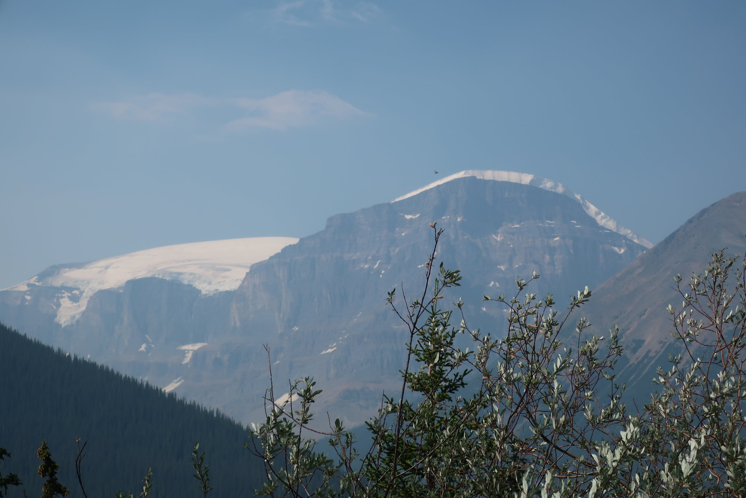  Banff and Jasper National Parks--Icefields Parkway--Near Mushroom and Diadem Peaks 
