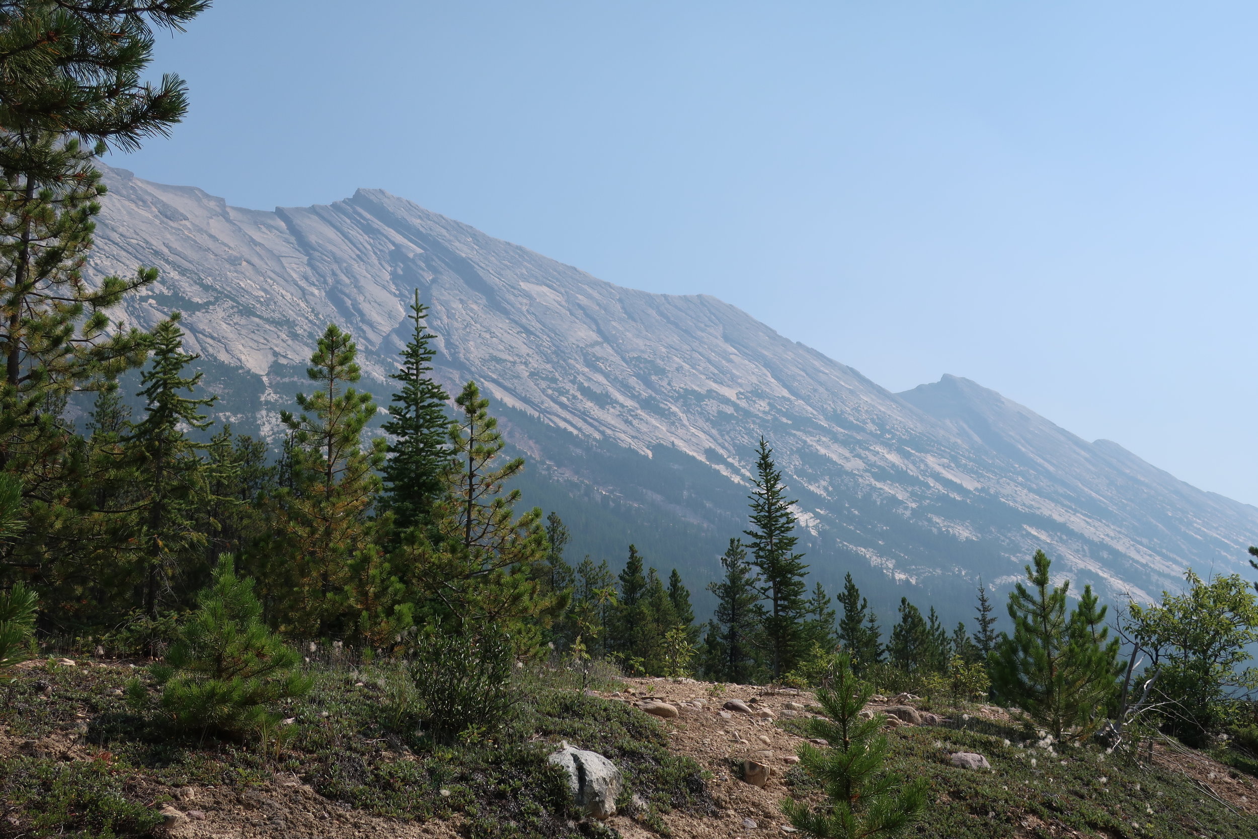  Banff and Jasper National Parks--Icefields Parkway----Endless Chain Ridge 