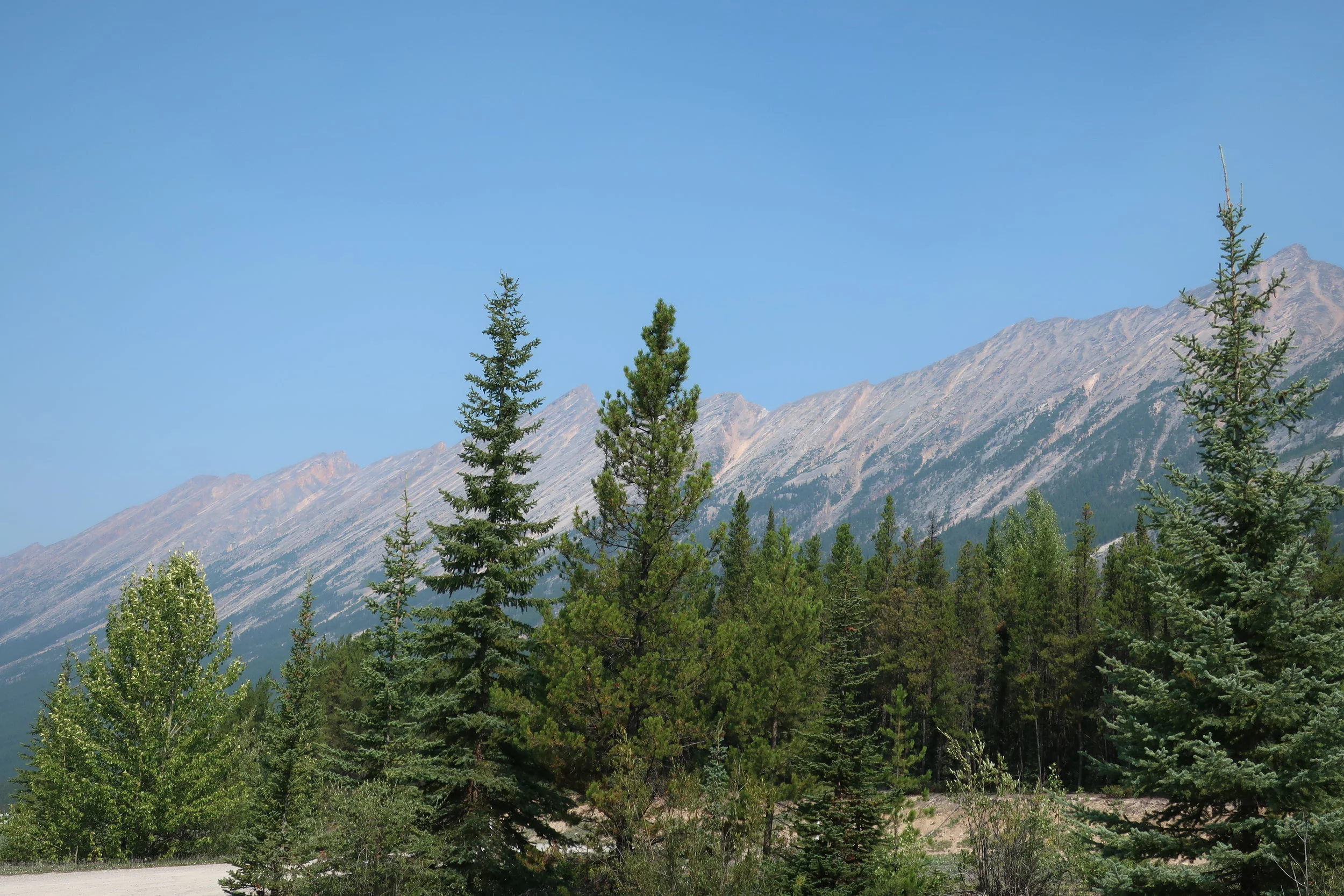  Banff and Jasper National Parks--Icefields Parkway----Endless Chain Ridge 