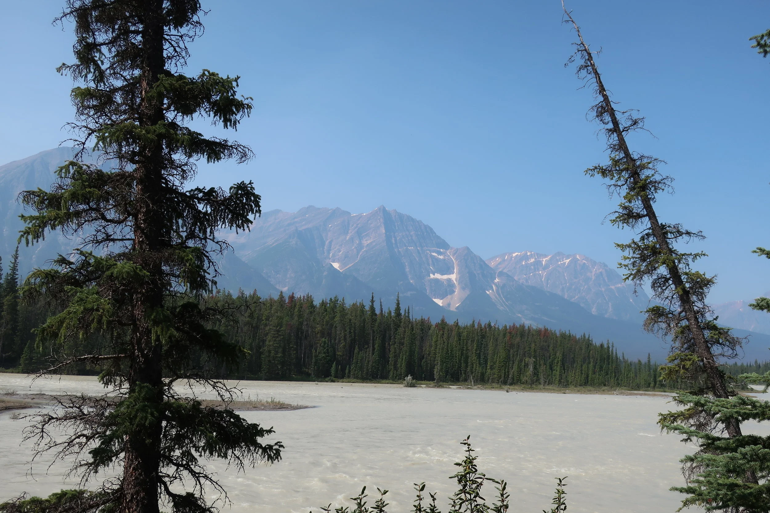  Banff and Jasper National Parks--Icefields Parkway--Athabasca River, near Honeymoon Lake 
