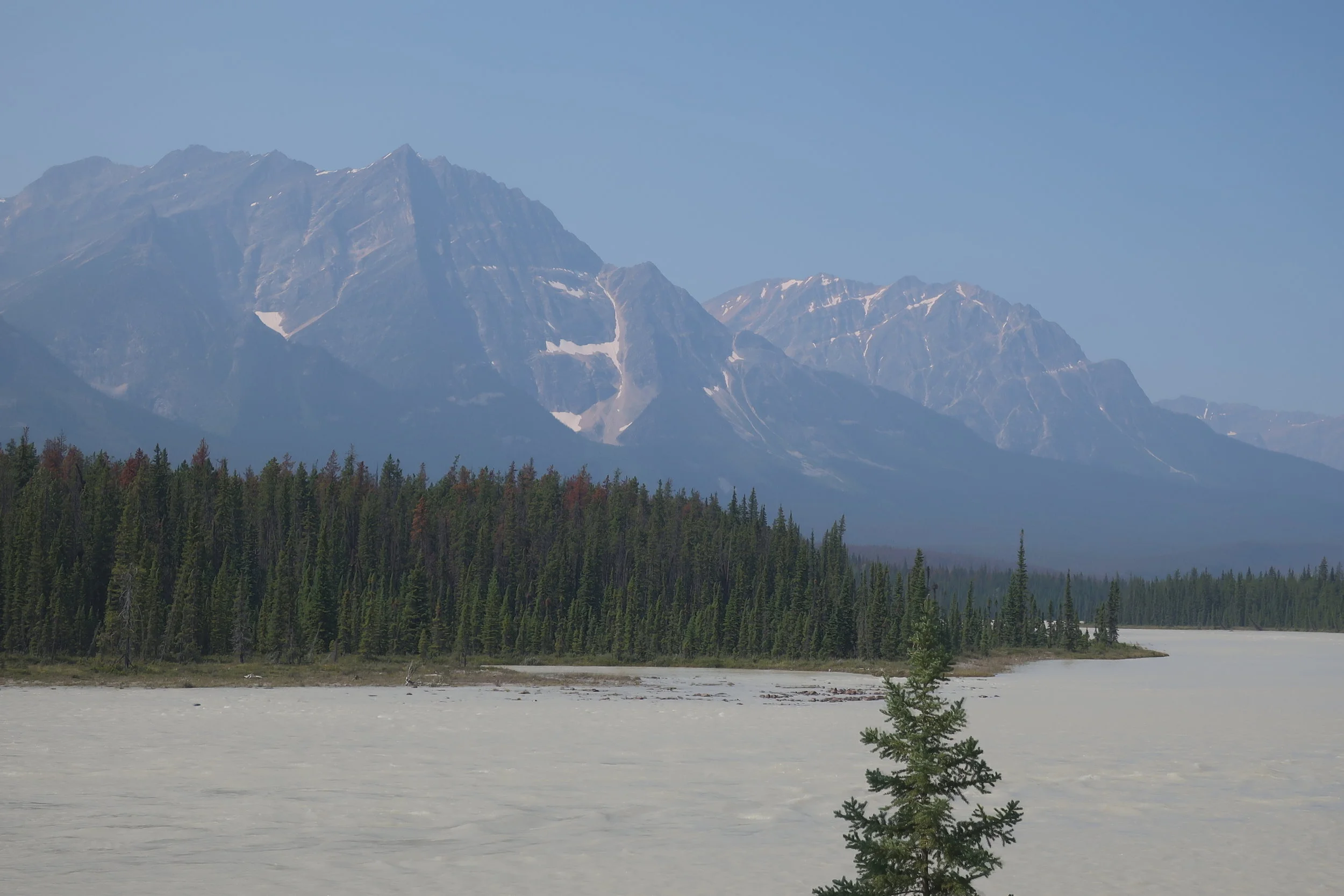  Banff and Jasper National Parks--Icefields Parkway--Athabasca River, near Honeymoon Lake 