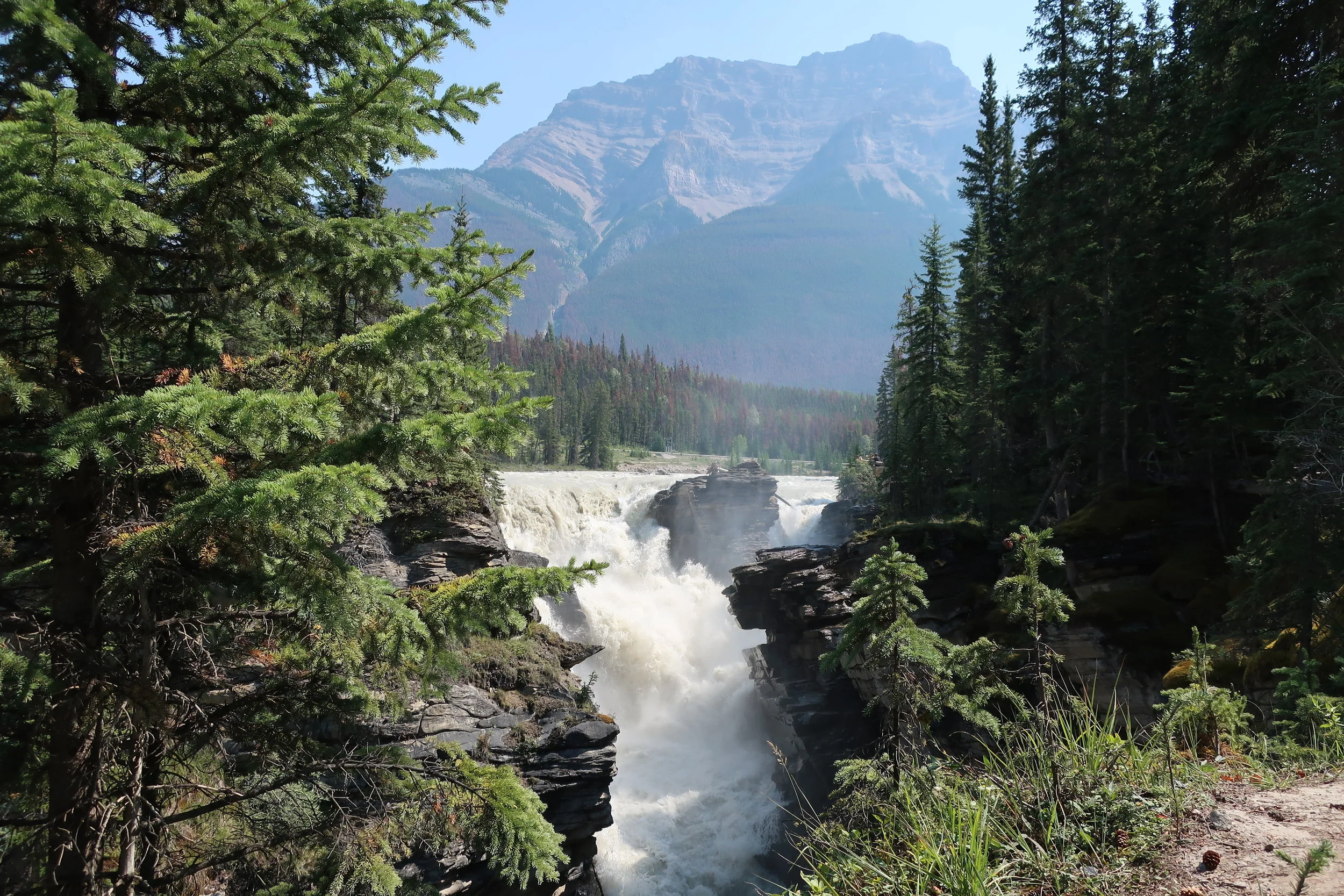  Banff and Jasper National Parks--Icefields Parkway--Athabasca River Falls 