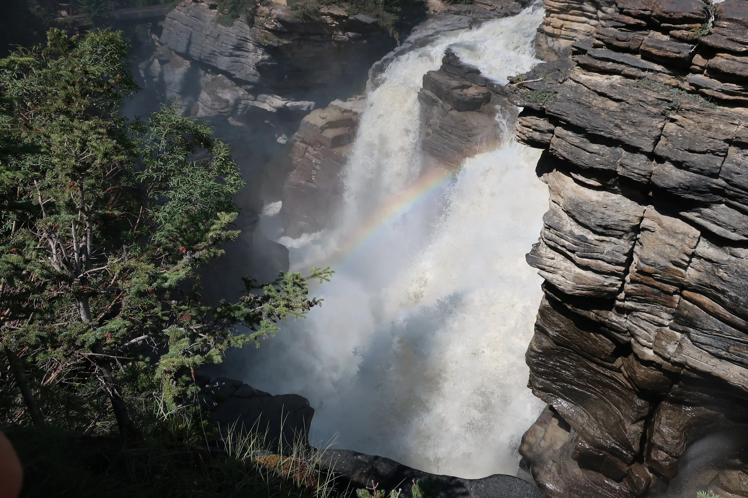  Banff and Jasper National Parks--Icefields Parkway--Athabasca River Falls 