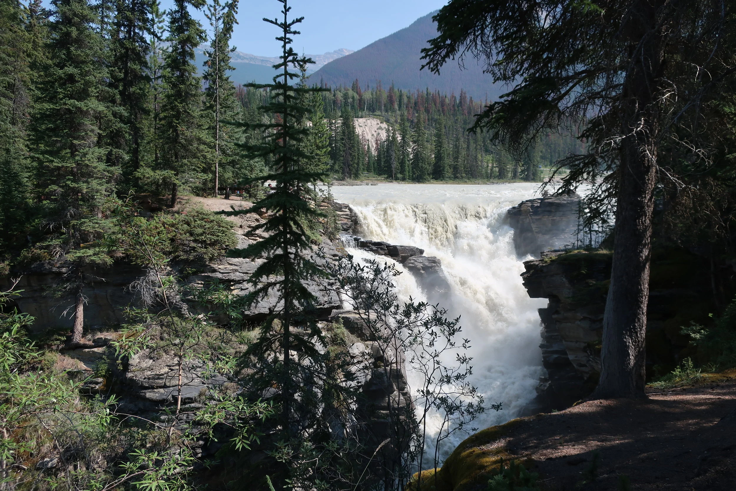  Banff and Jasper National Parks--Icefields Parkway--Athabasca River Falls 