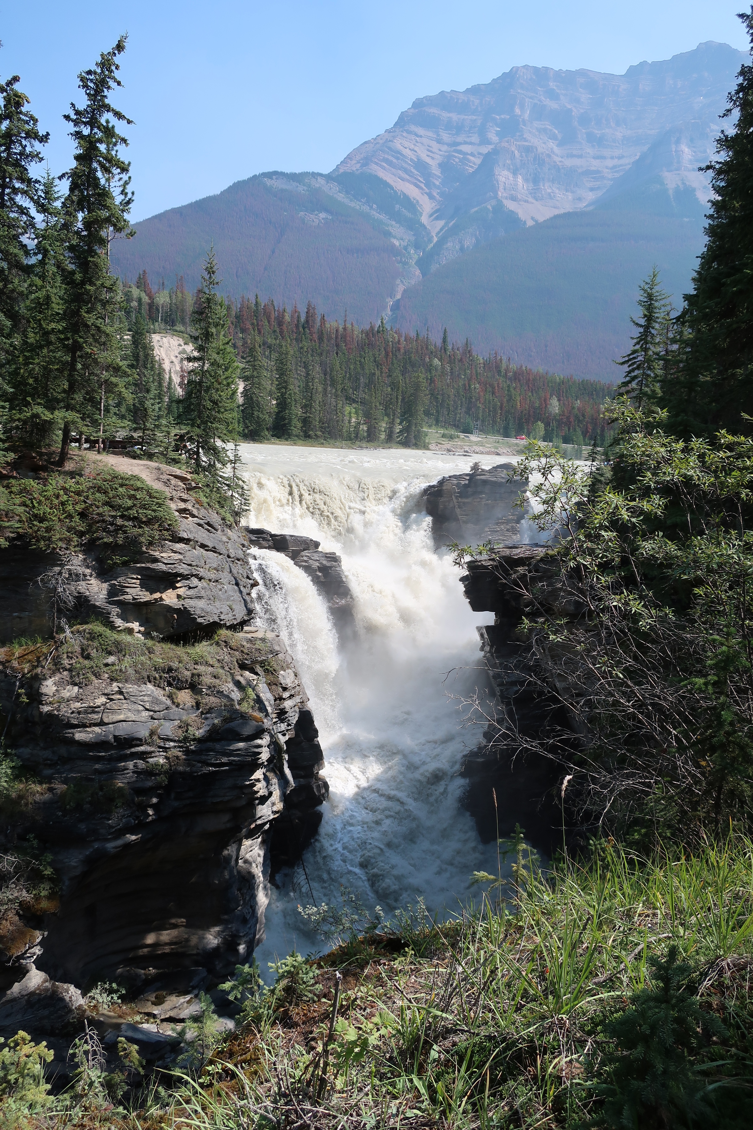  Banff and Jasper National Parks--Icefields Parkway--Athabasca River Falls 