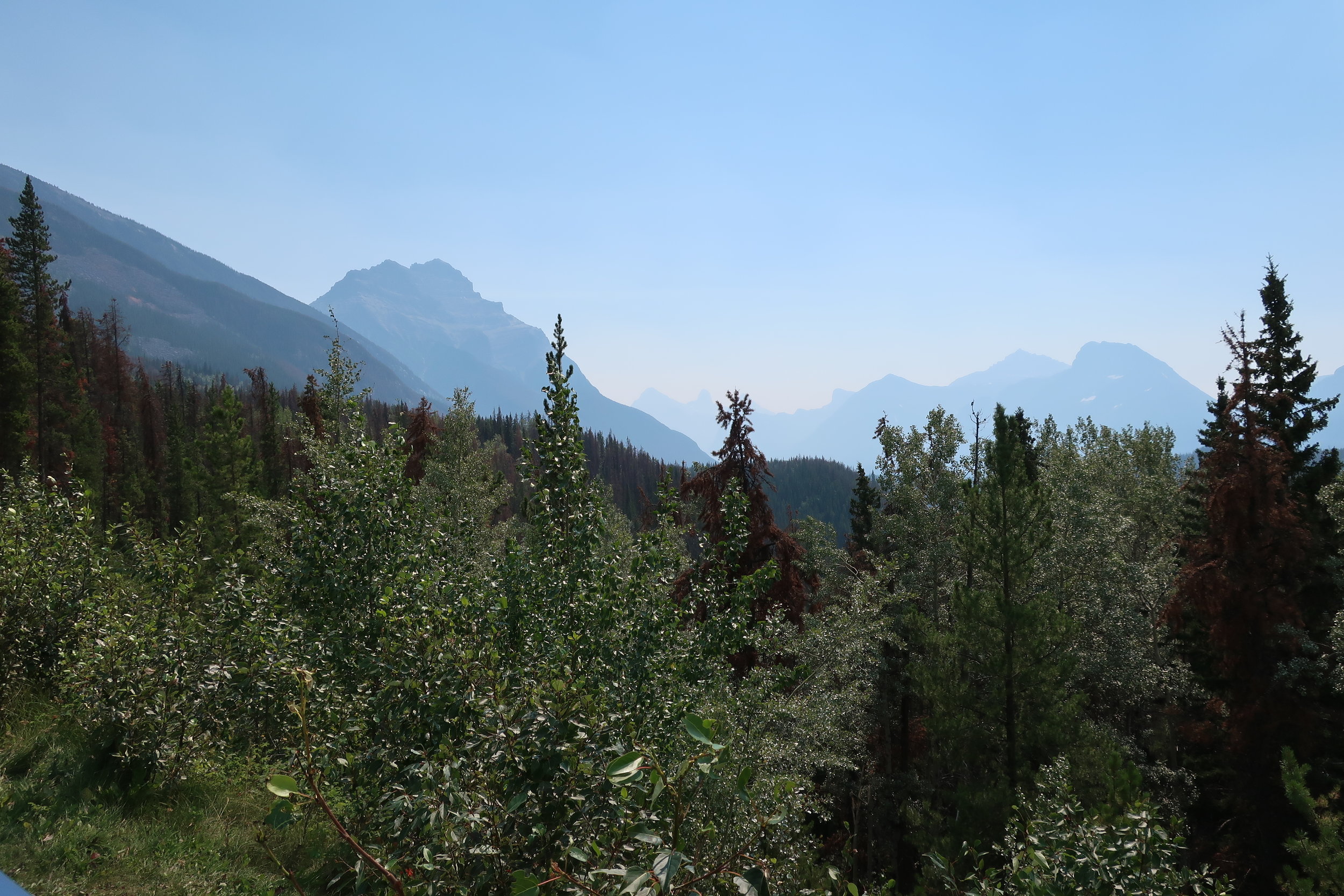  Banff and Jasper National Parks--Icefields Parkway--Just north of Athabasca River Falls (wildfire haze) 