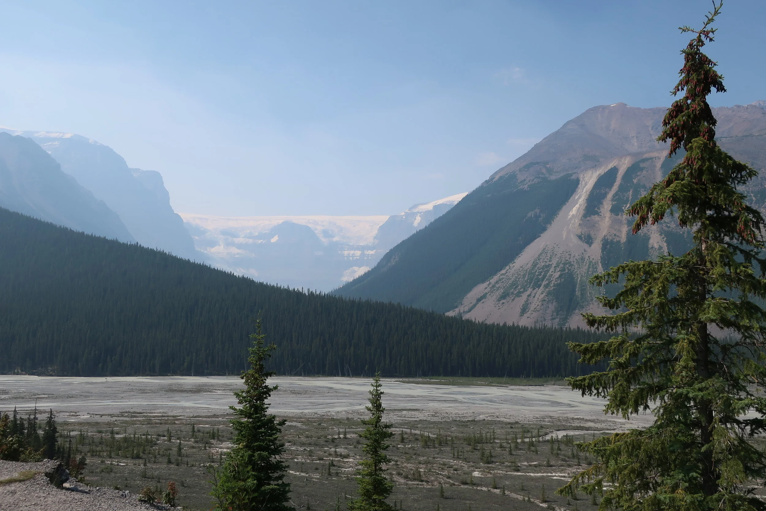  Banff and Jasper National Parks--Icefields Parkway--Near Mushroom and Diadem Peaks 