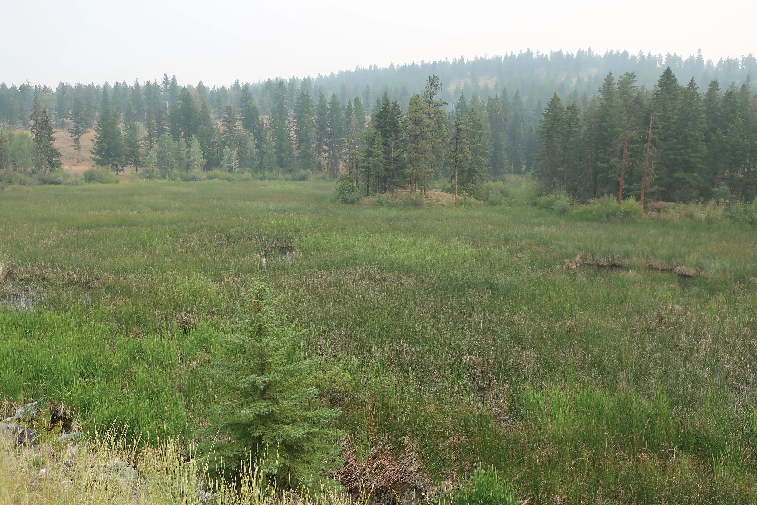  Llilooet--On the way to LLilooet near Lower Nicola 