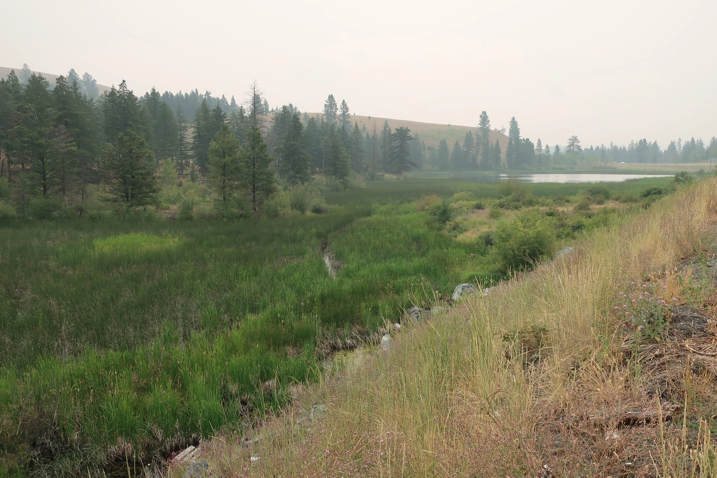  Llilooet--On the way to LLilooet near Lower Nicola 