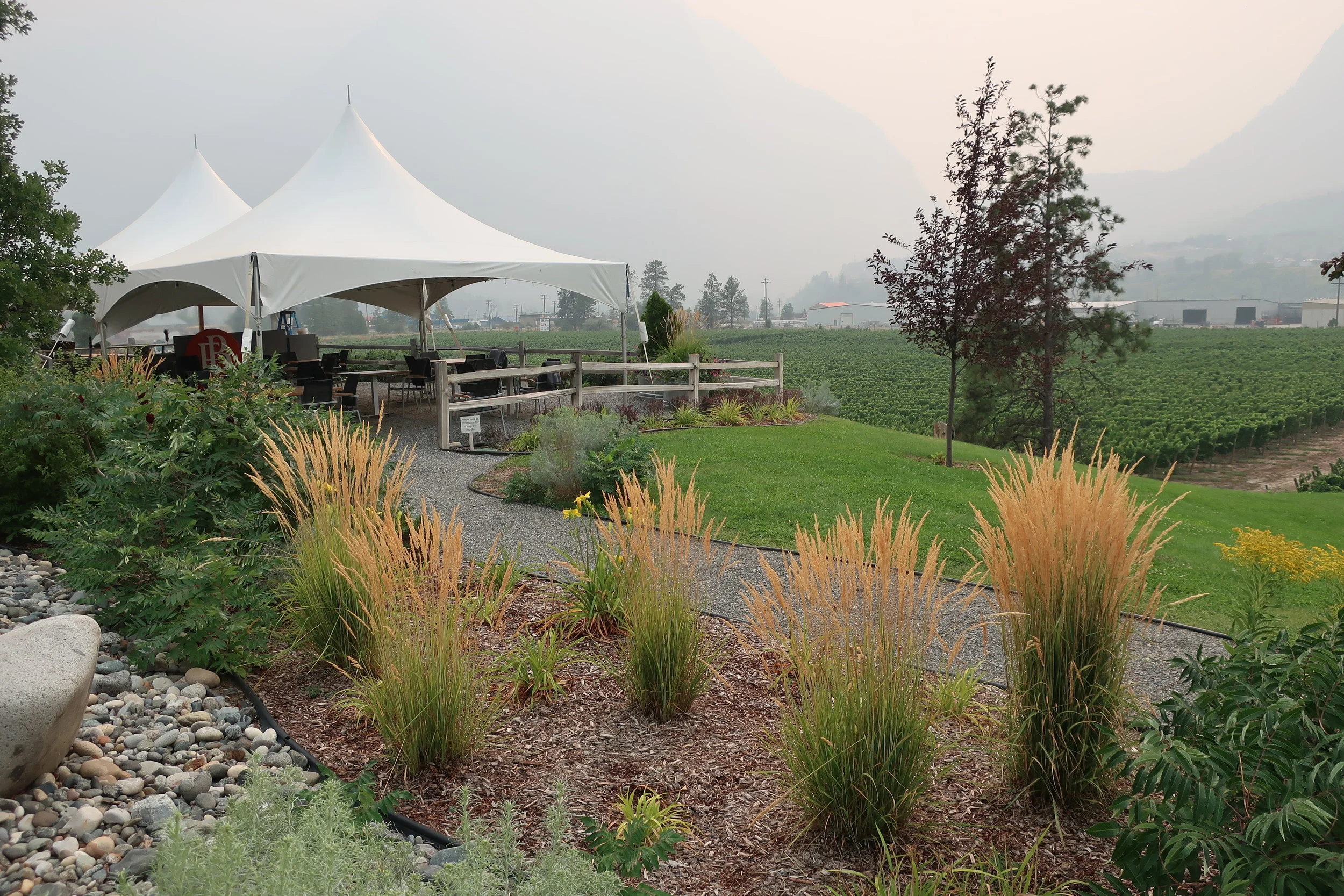  Llilooet--Fort Berens Vineyard--Owned by a Dutch couple--Restaurant outside under tent 