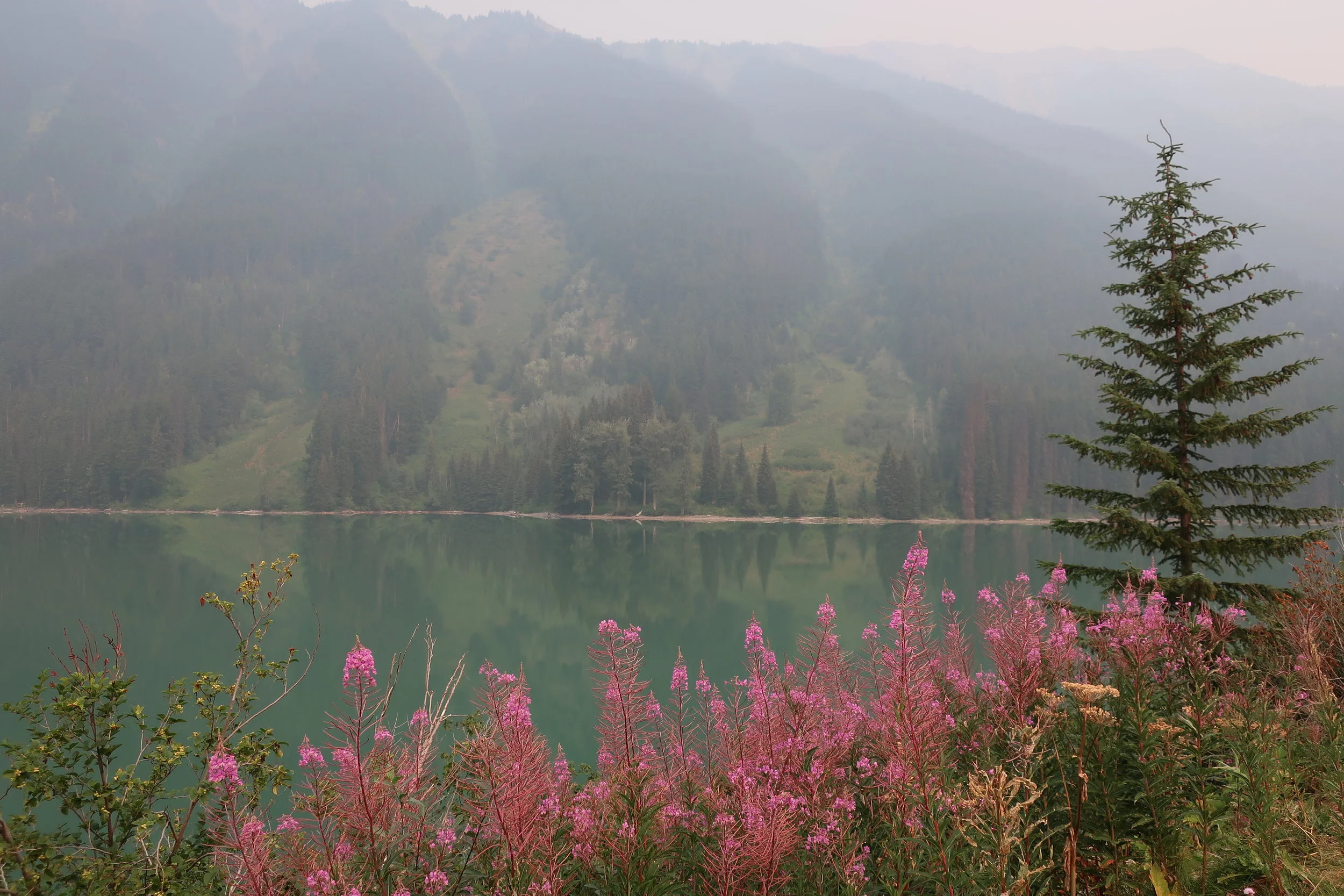  Llilooet--Going from Llilooet towards Whistler--Fantastic country 