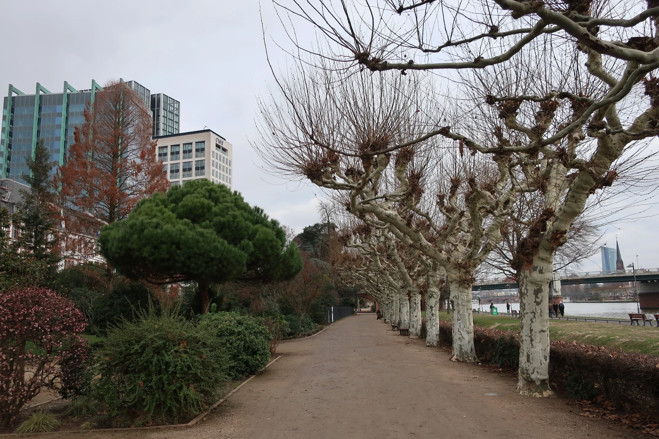  Frankfurt--Winter 2019-- Along the Main River--ECB in distance 