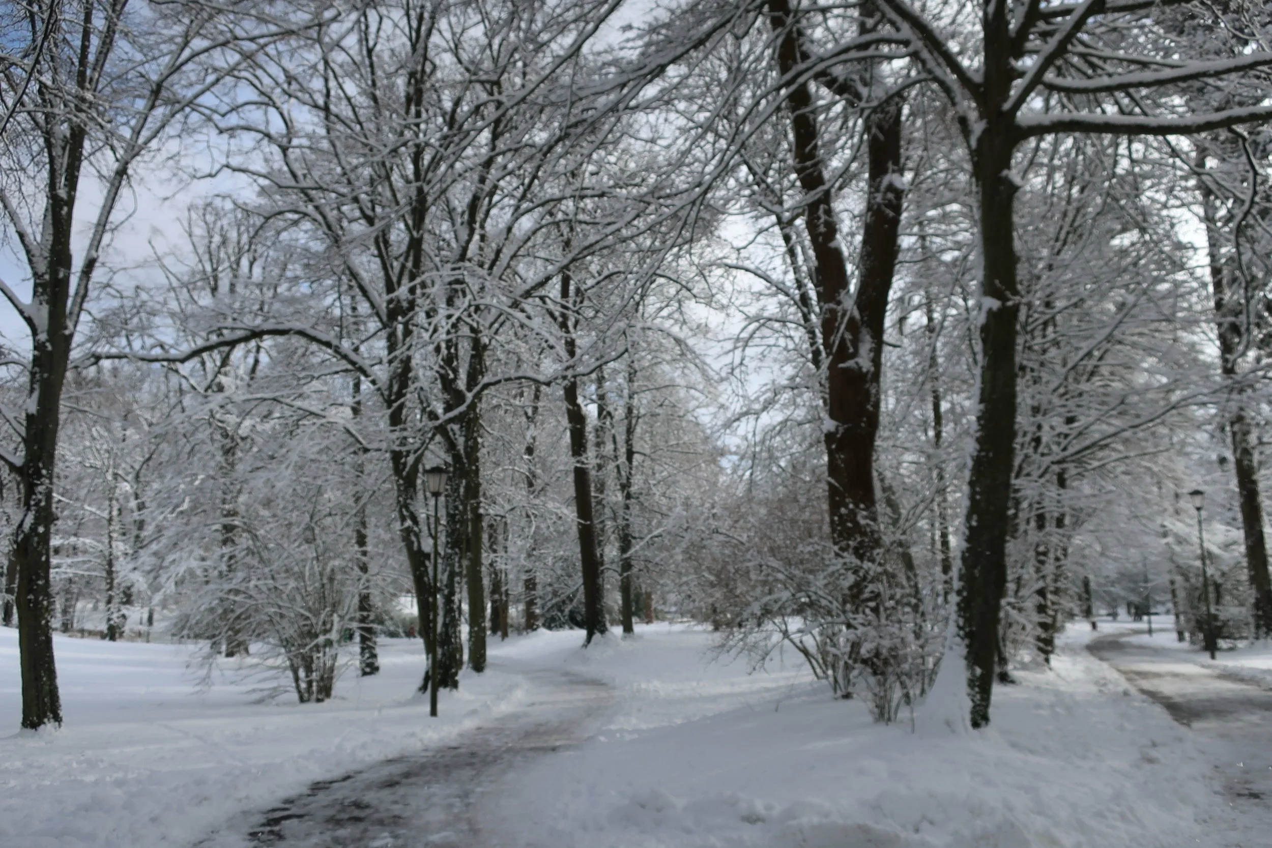  Luxembourg--Winter 2019--Montery Park 