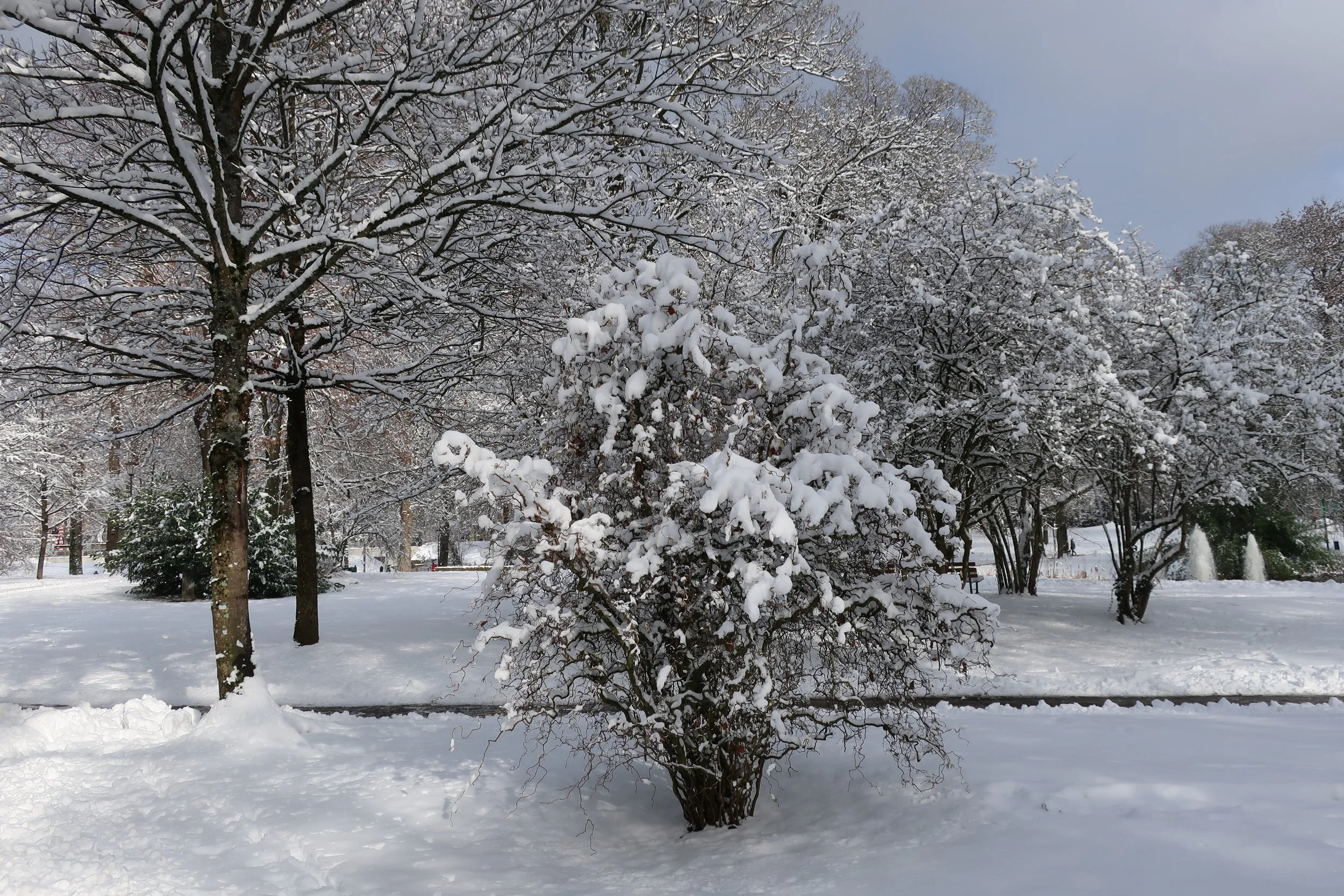  Luxembourg--Winter 2019--Montery Park 