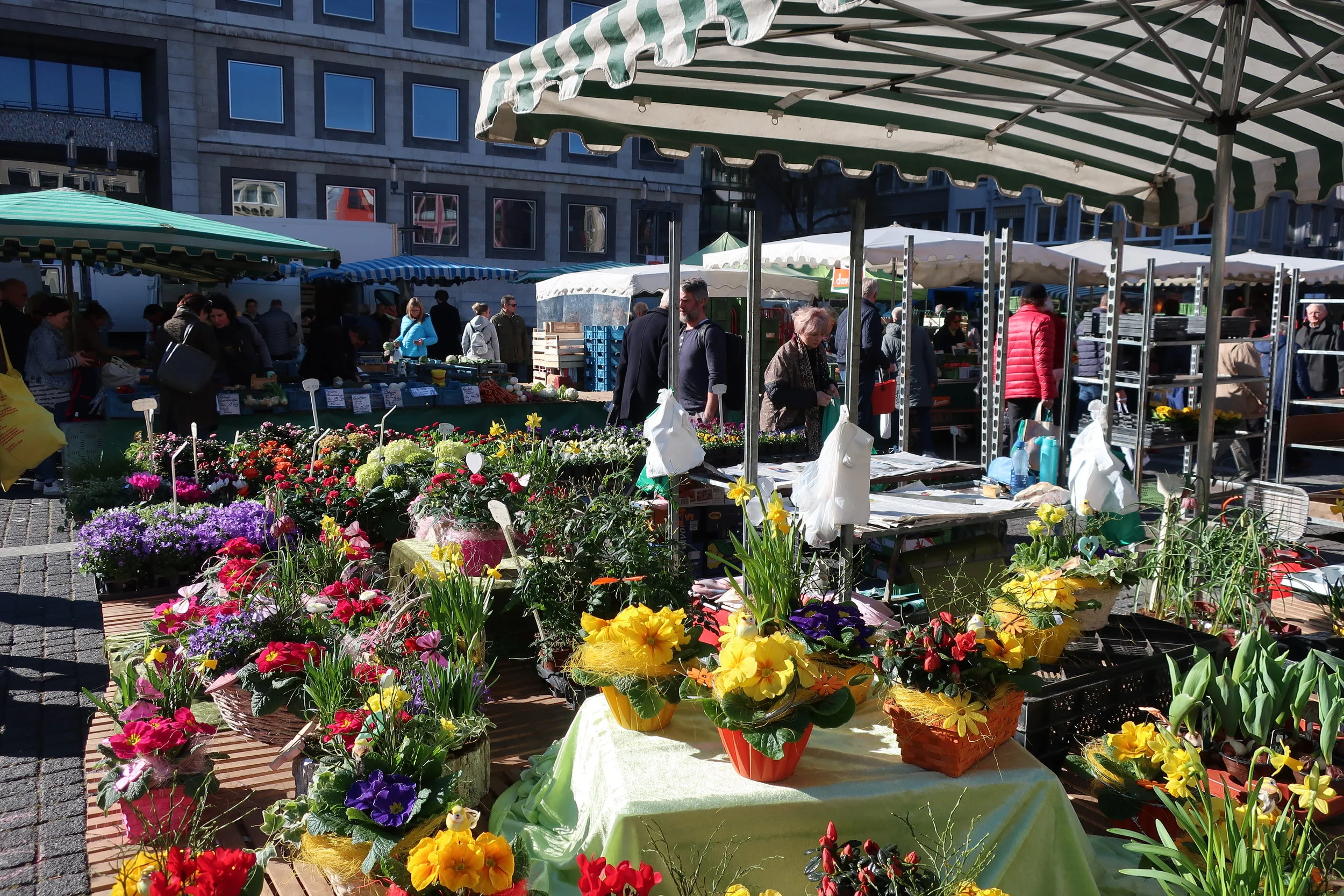  Stuttgart--Winter 2019--Marktplatz--Saturday market on a very pleasant February day 