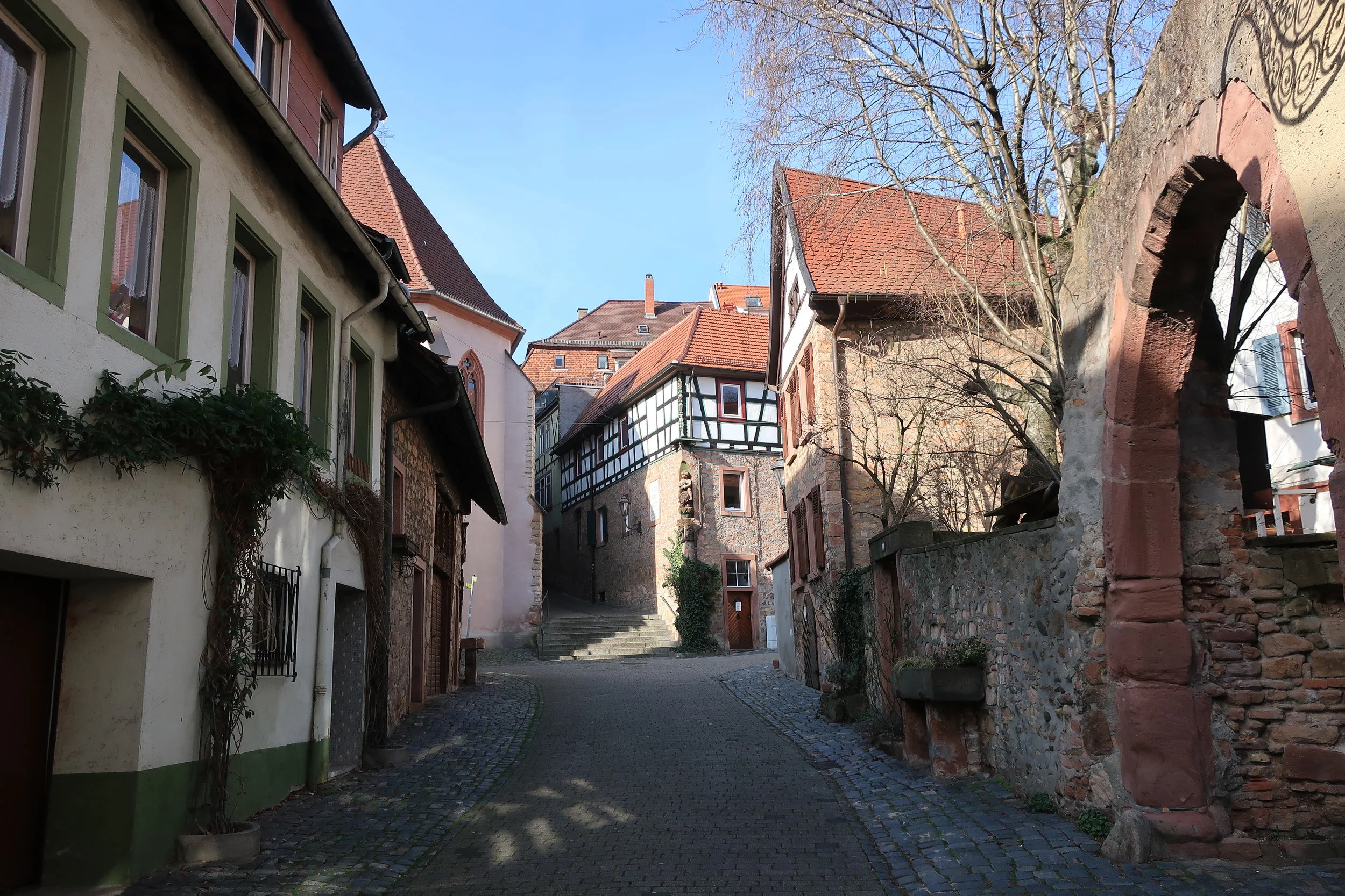  Weinheim--Winter 2019--Munzstrasse near Kerwehaus 