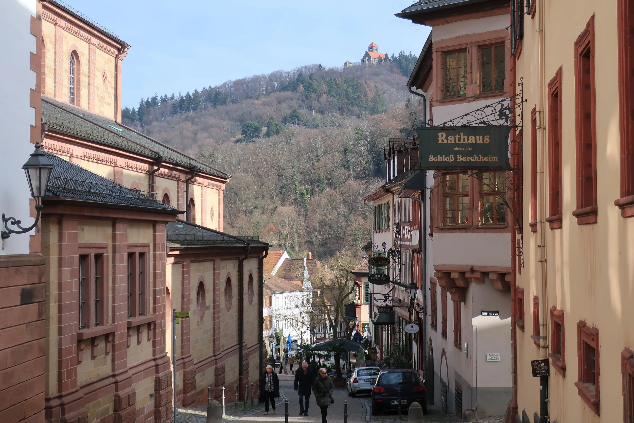  Weinheim--Winter 2019--Schloss--North Gate to city looking to Marktplatz 