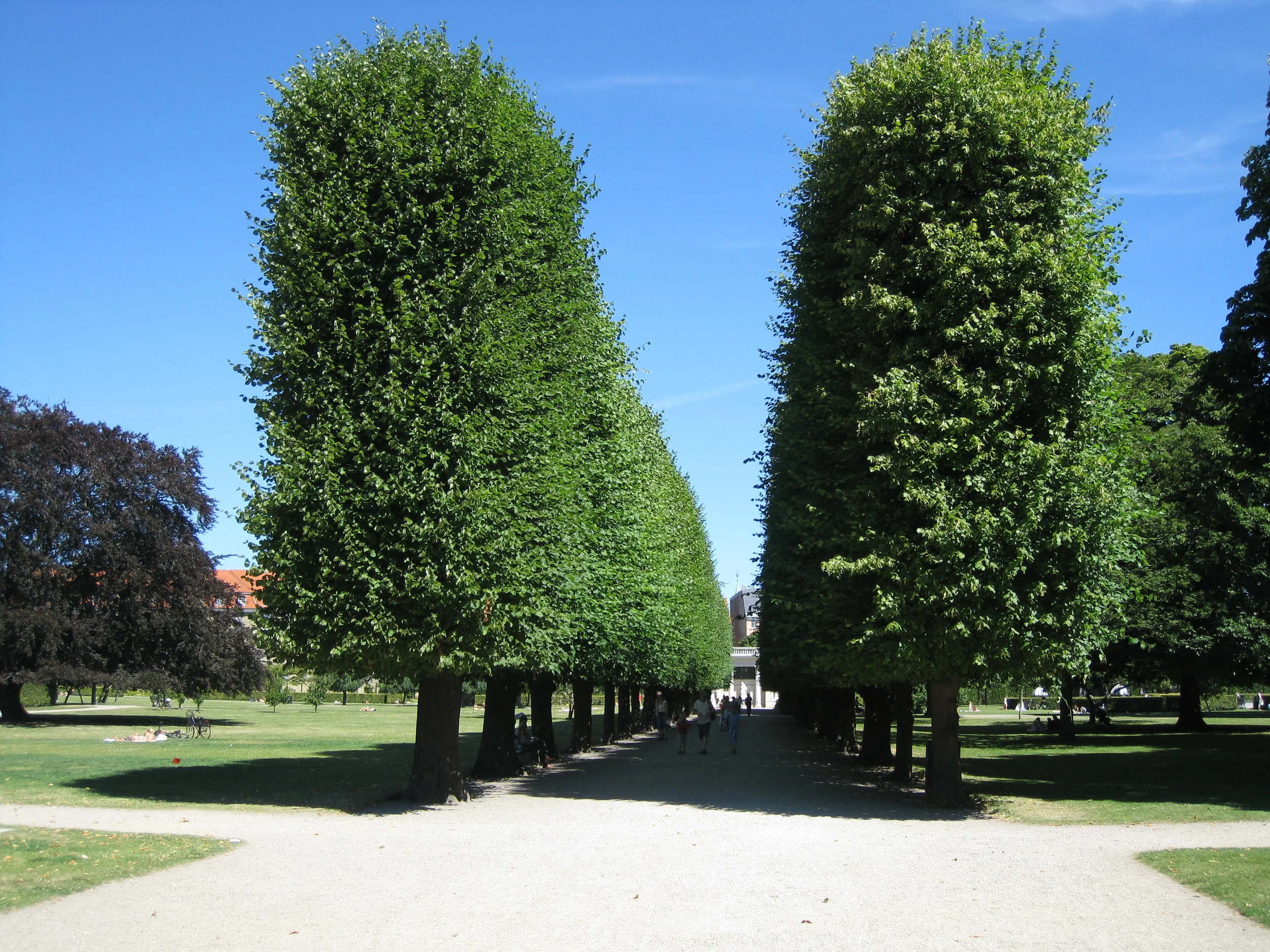  Copenhagen, Gardens around Rosenborg Castle 